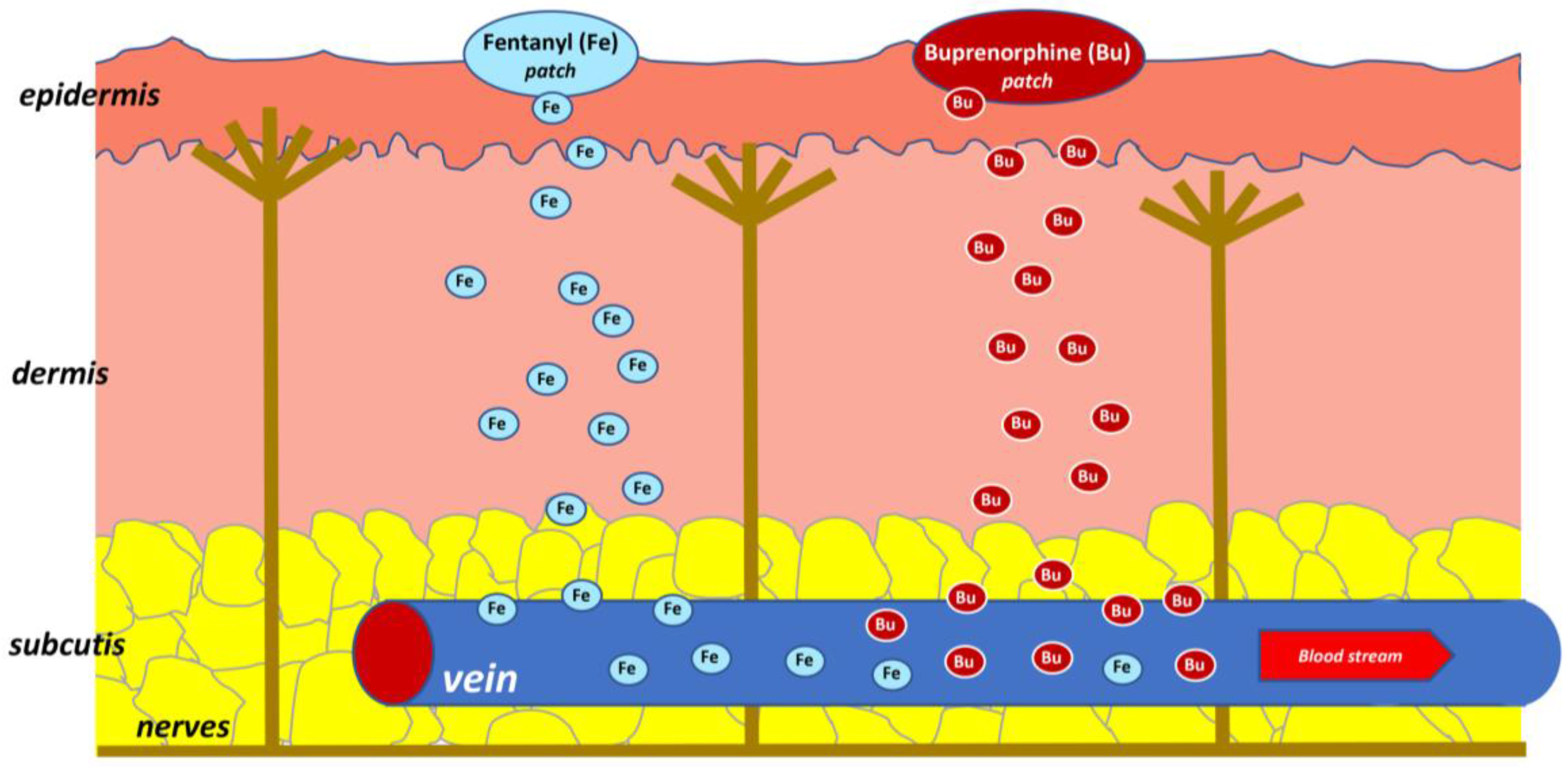 Molecules 23 00681 g001 Molecules 23 00681 g001