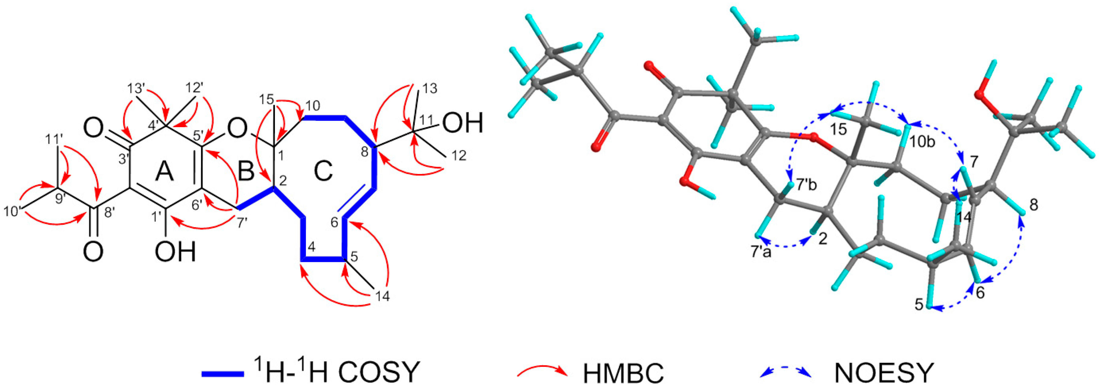 Molecules 23 00683 g002 Molecules 23 00683 g002