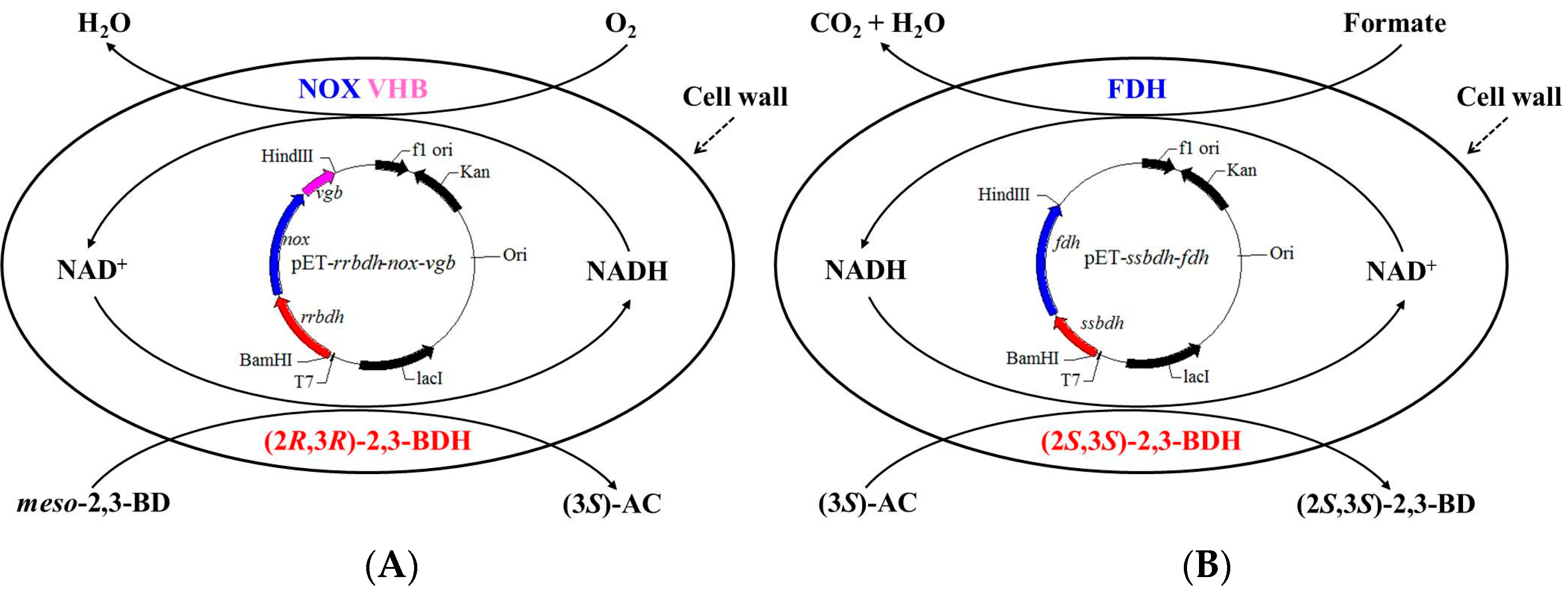 Molecules 23 00691 g001