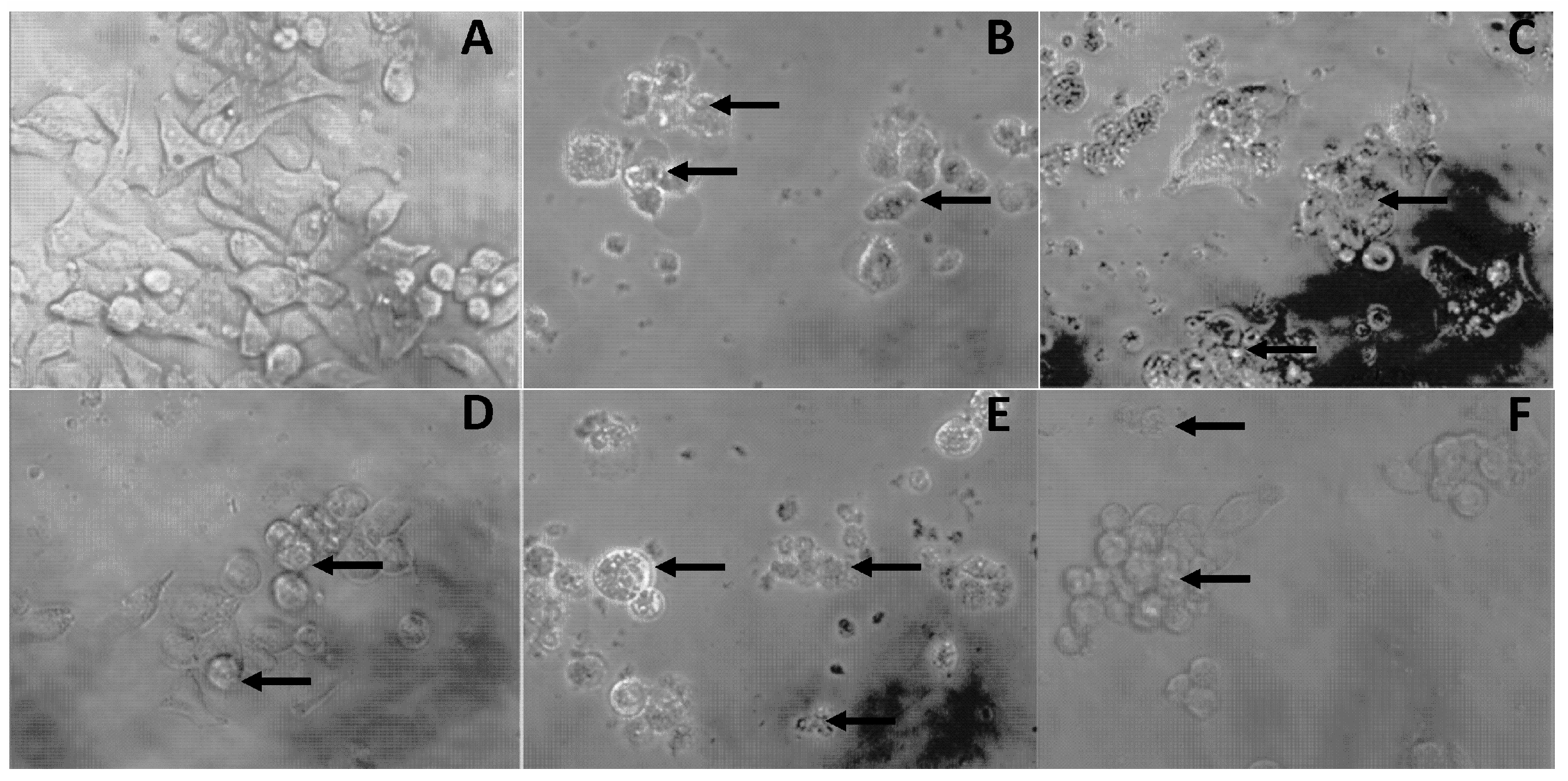 Molecules 23 00695 g002 Molecules 23 00695 g002