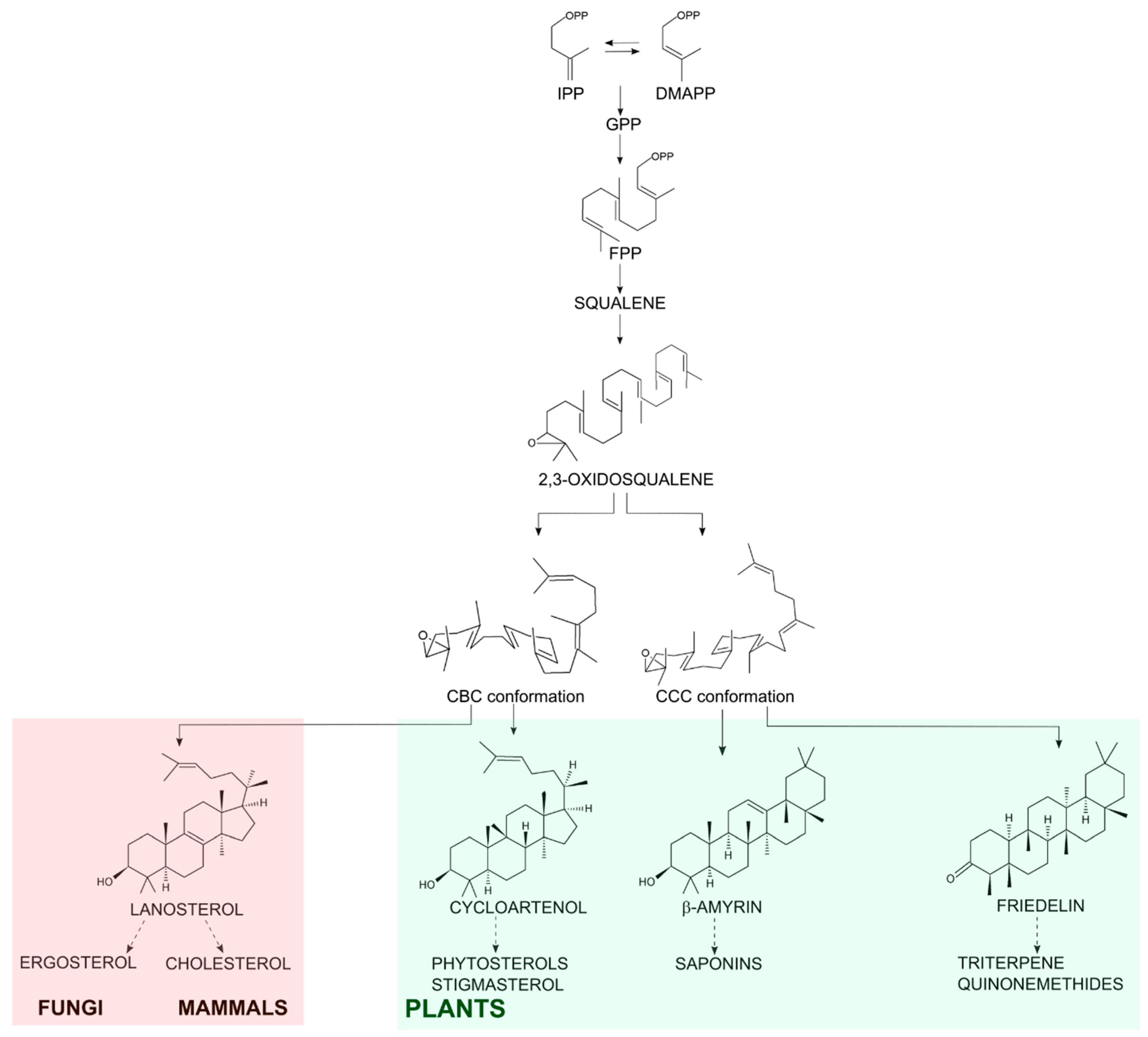 Molecules 23 00700 g001