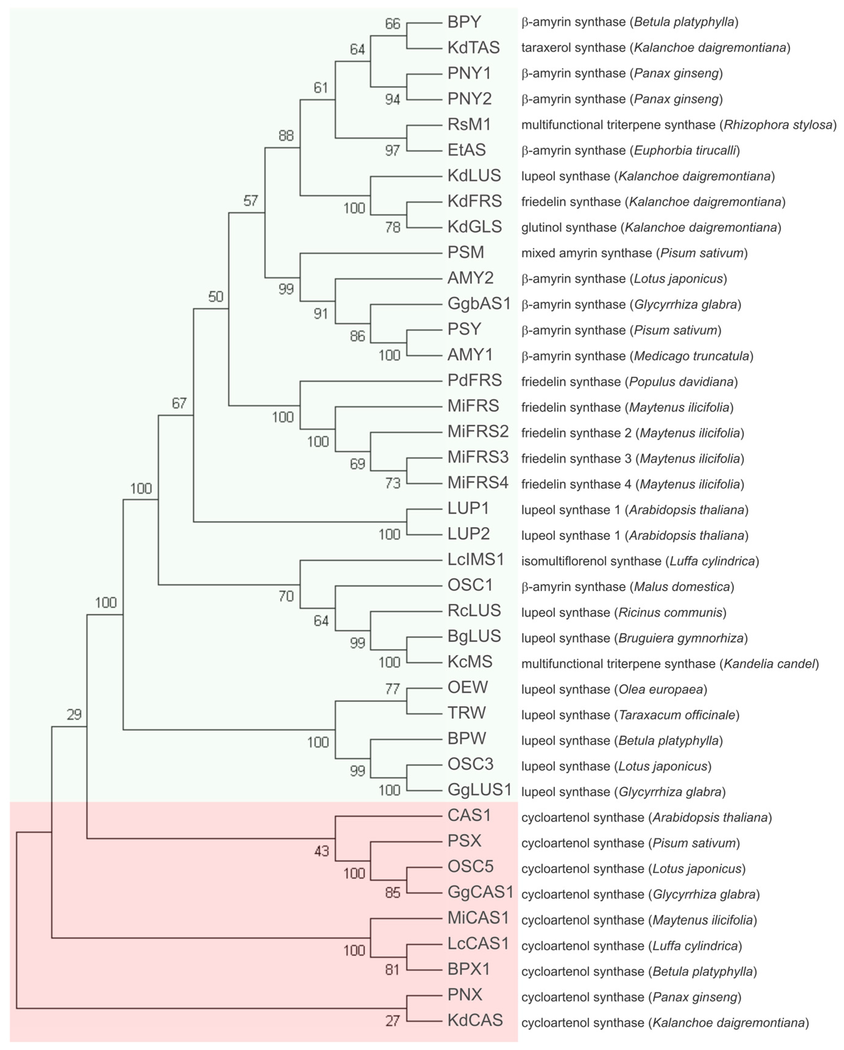 Molecules 23 00700 g002