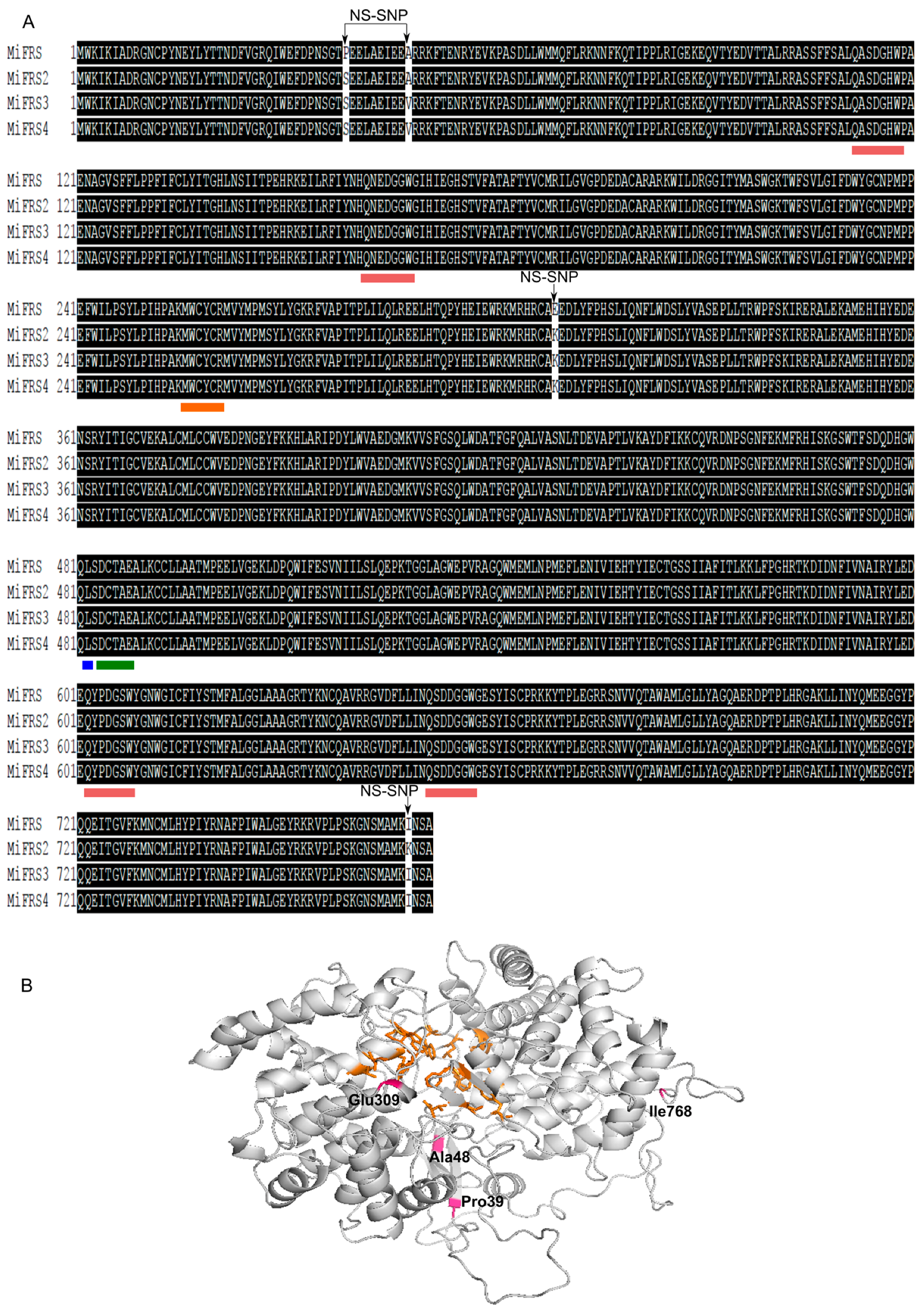 Molecules 23 00700 g004