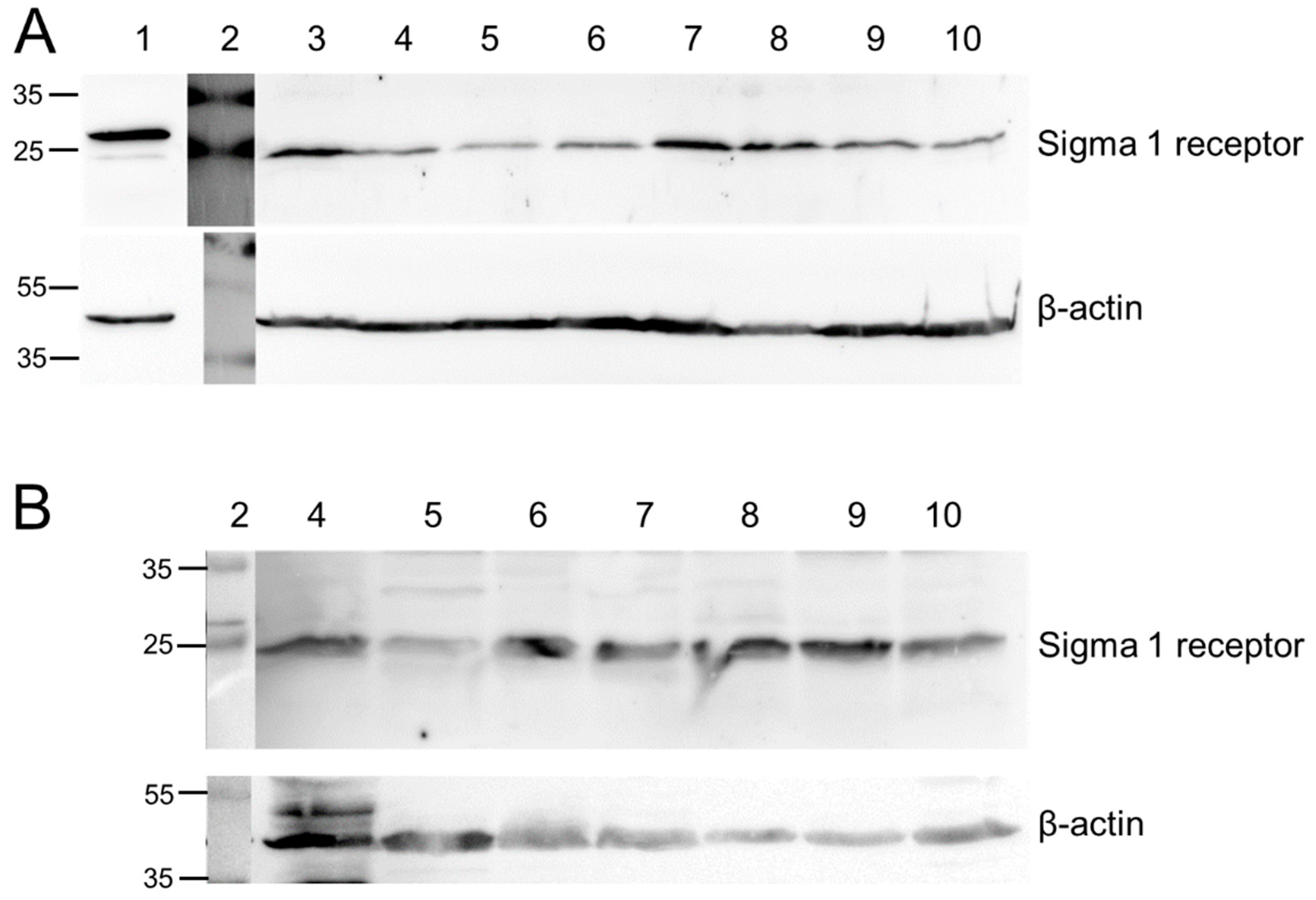 Molecules 23 00702 g001