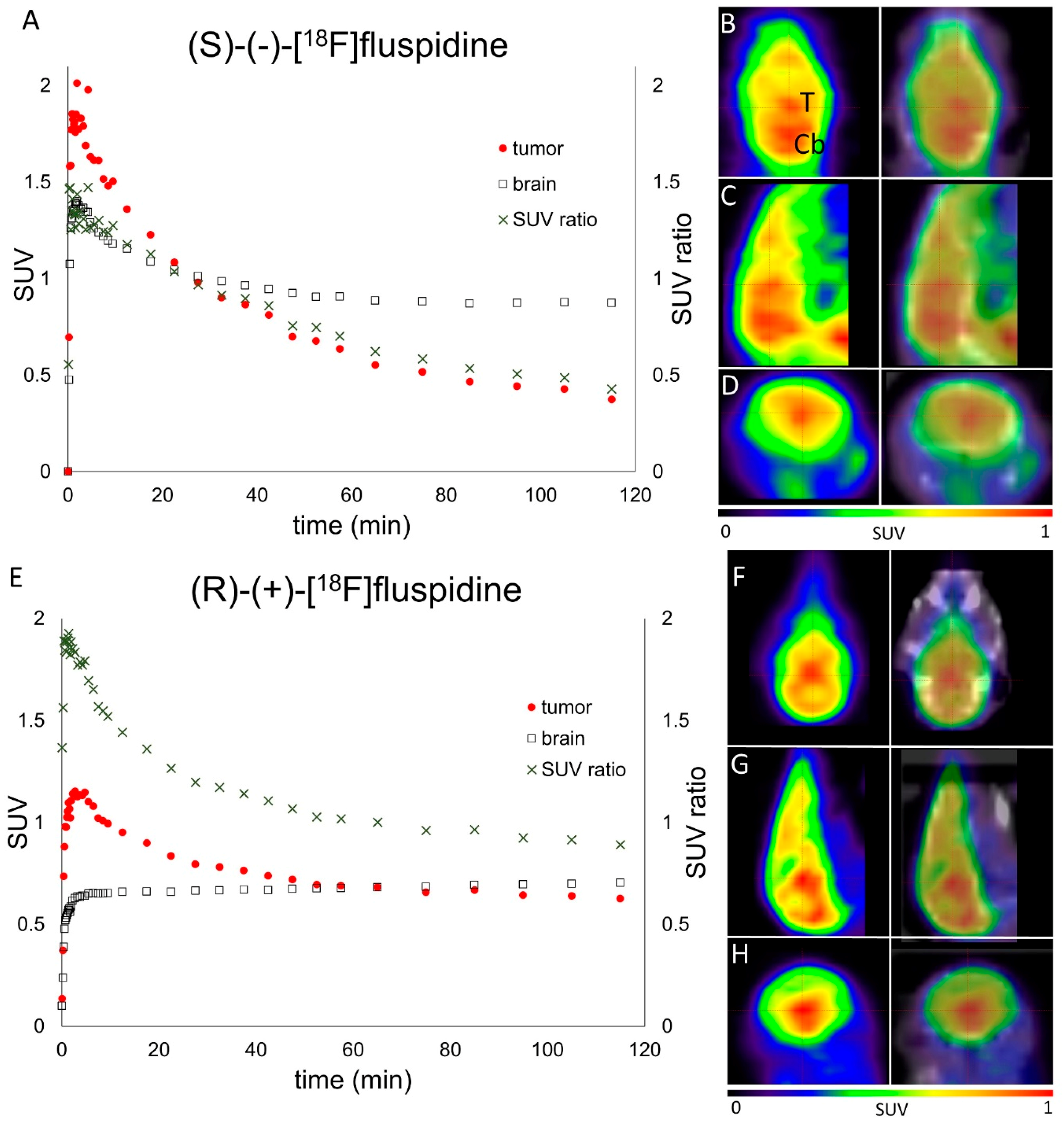 Molecules 23 00702 g004