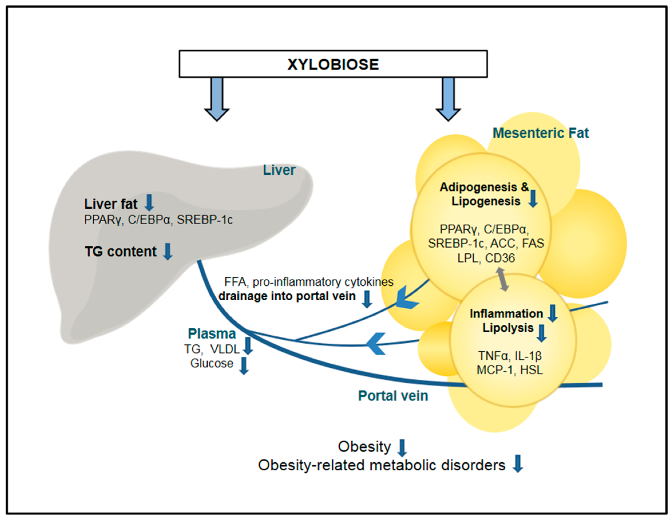 Molecules 23 00705 g005