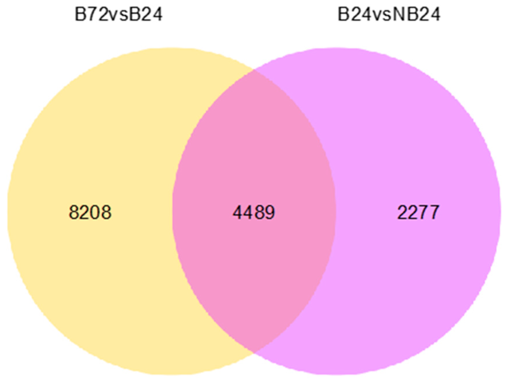 Molecules 23 00706 g007