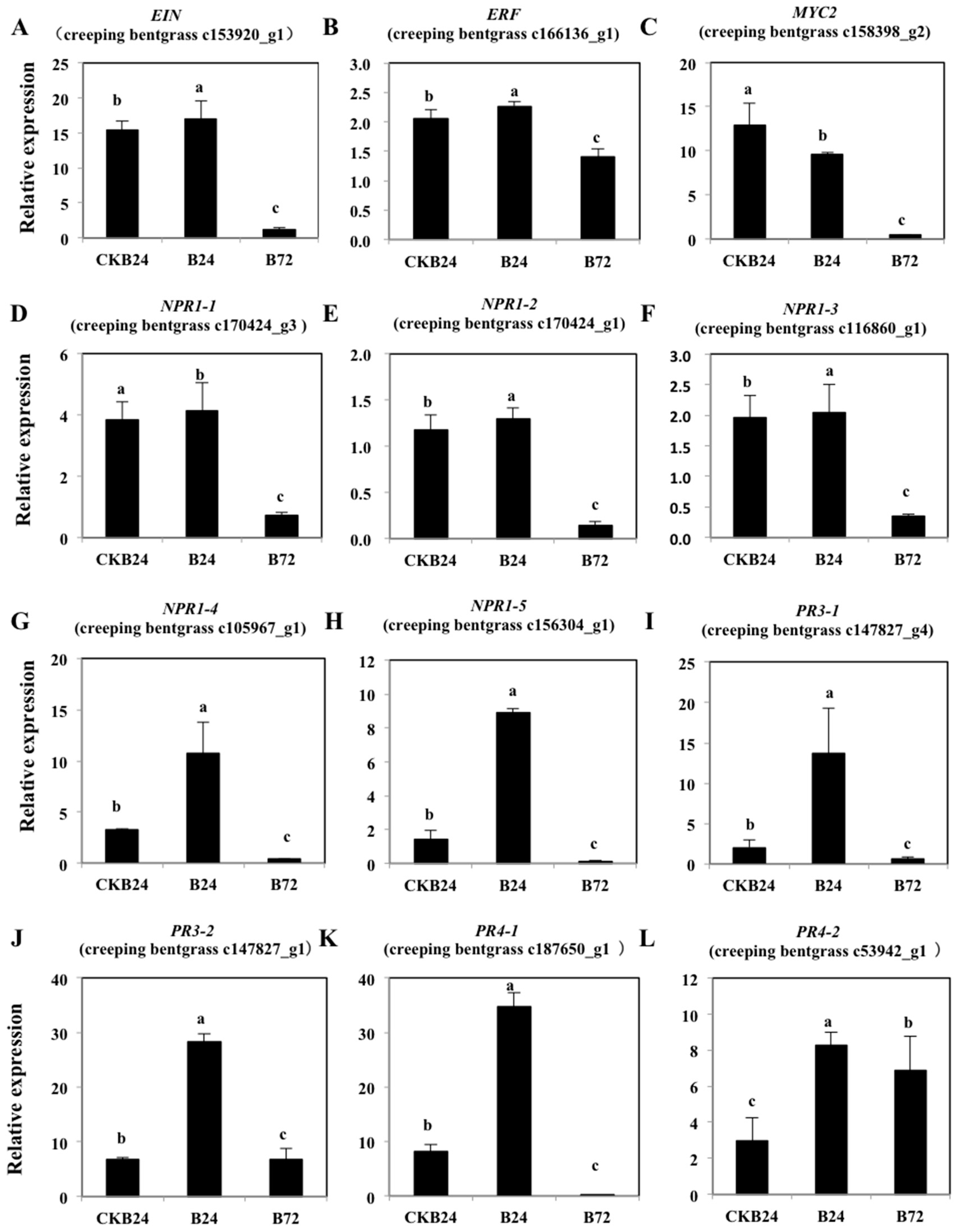 Molecules 23 00706 g009