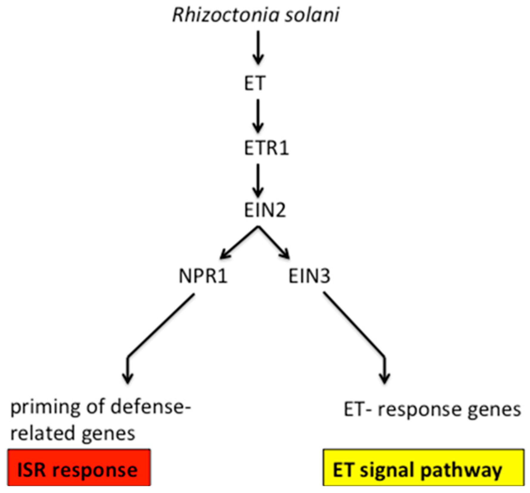 Molecules 23 00706 g010