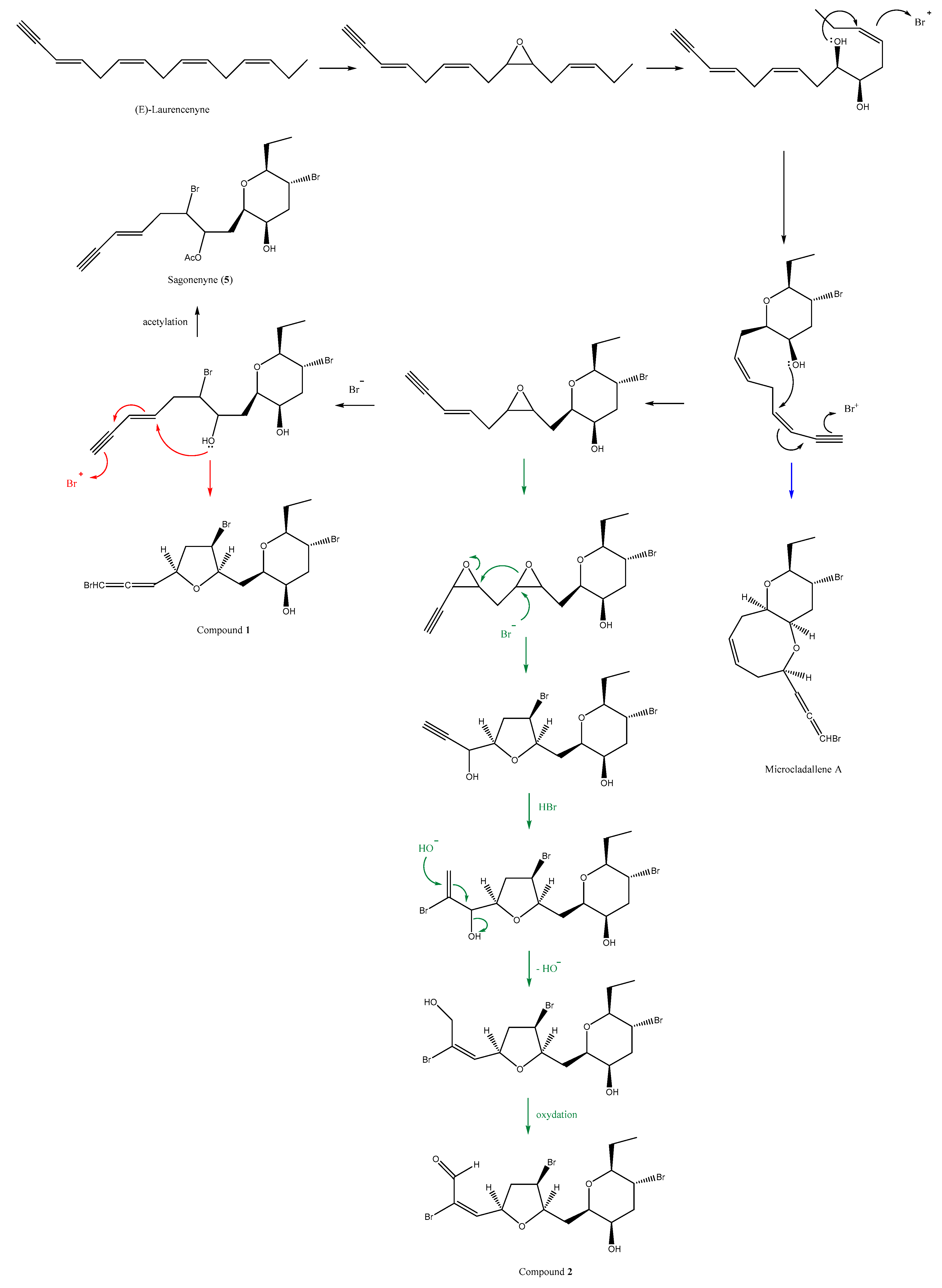 Molecules 23 00720 g003