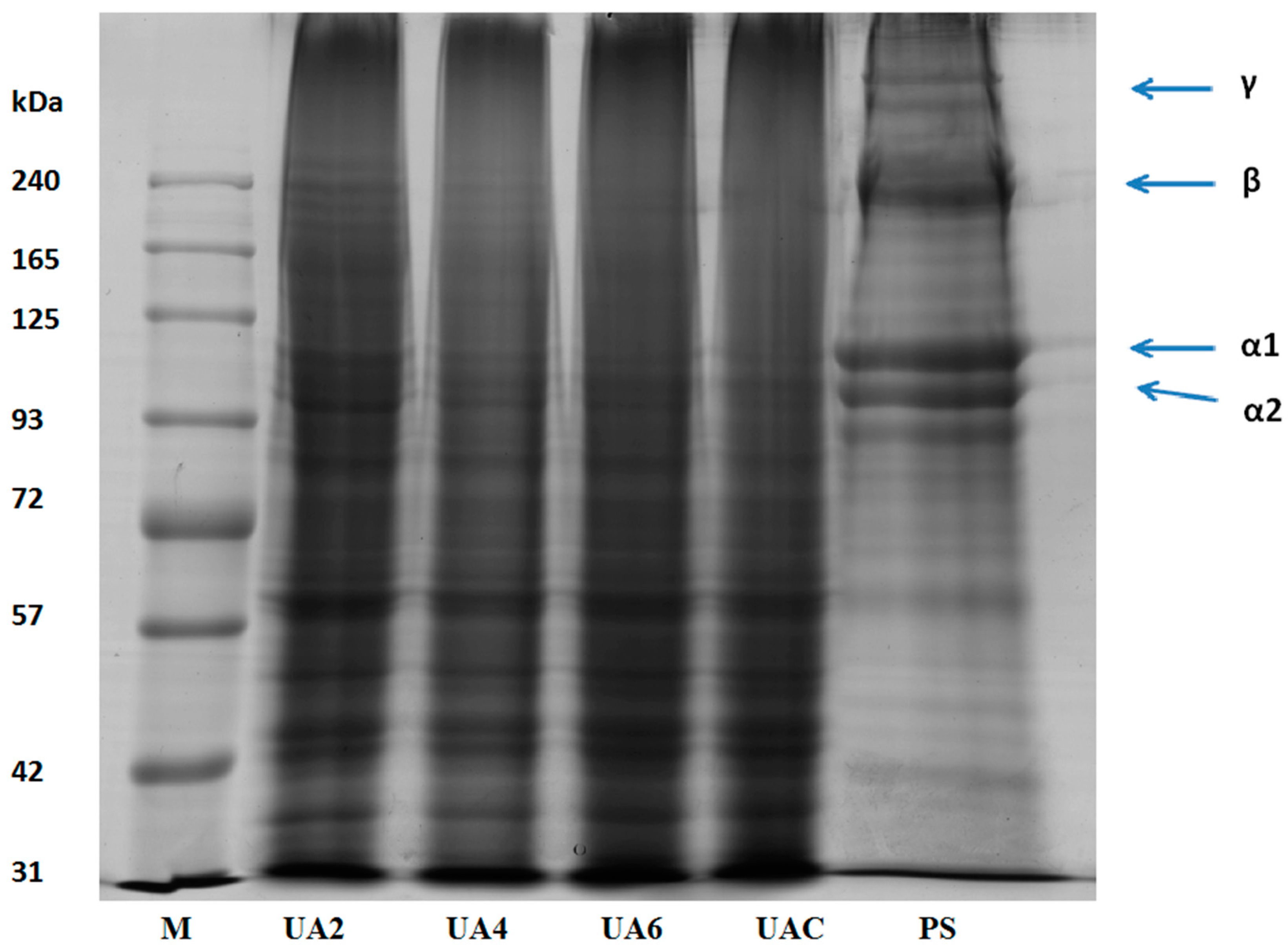 Molecules 23 00730 g001 Molecules 23 00730 g001