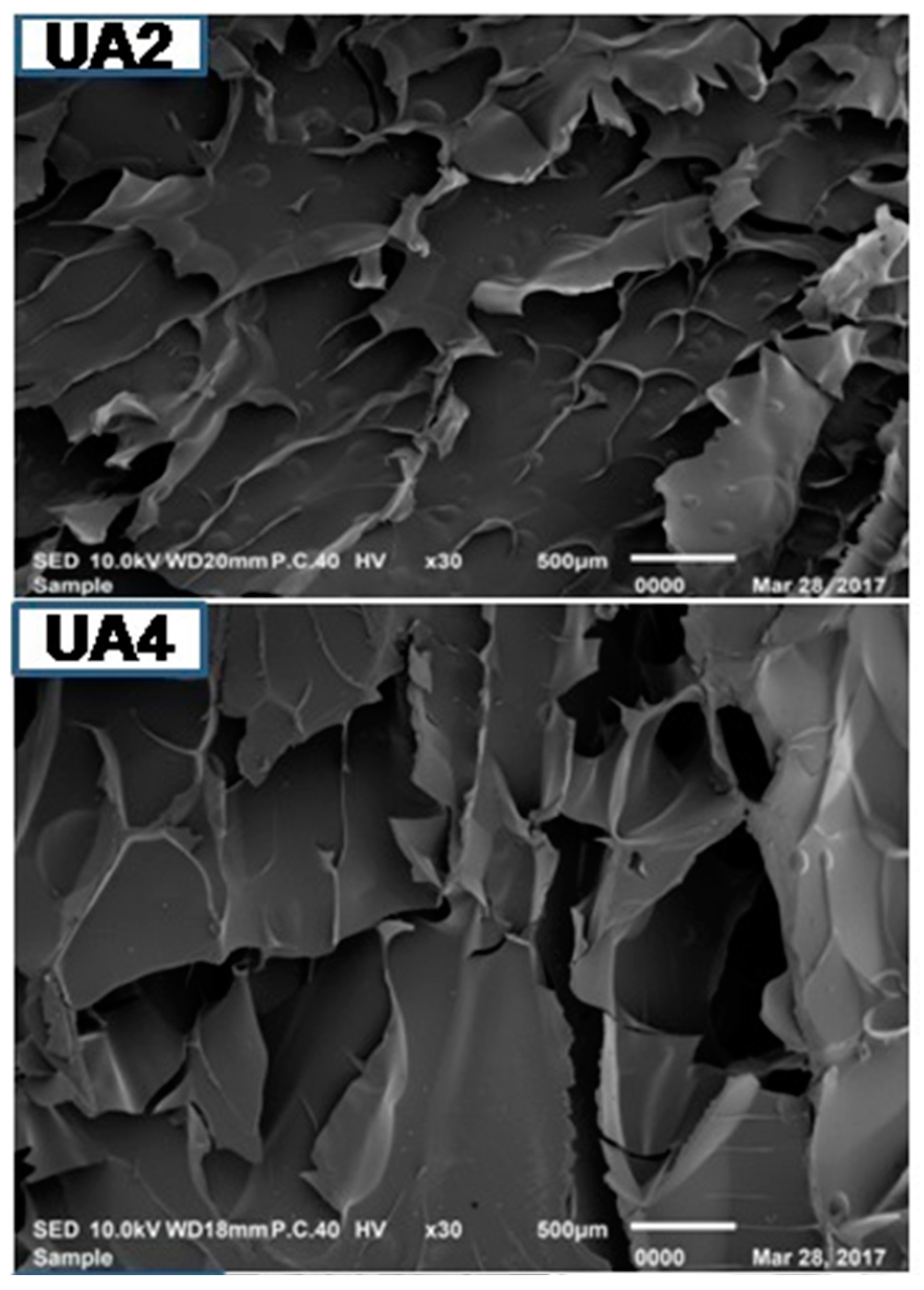 Molecules 23 00730 g003a Molecules 23 00730 g003a