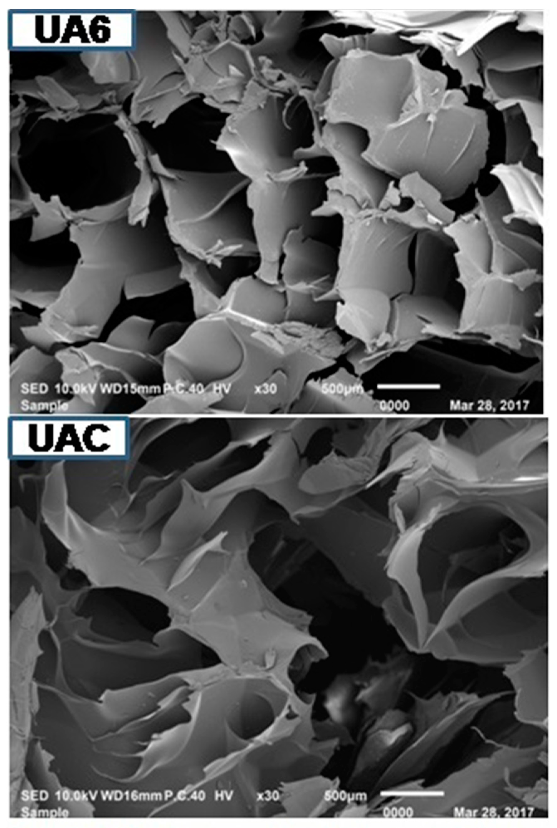 Molecules 23 00730 g003b Molecules 23 00730 g003b