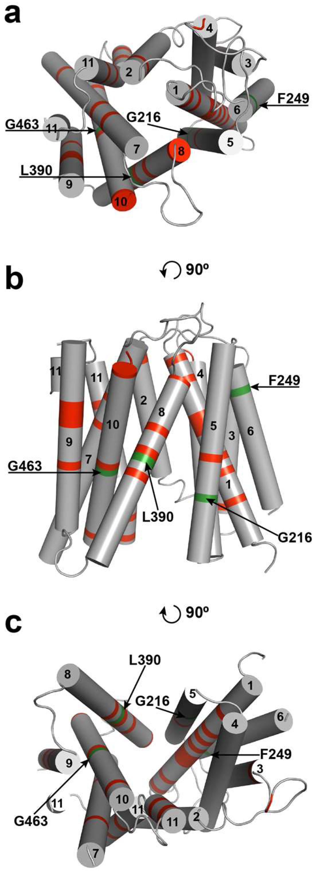 Molecules 23 00732 g003 Molecules 23 00732 g003