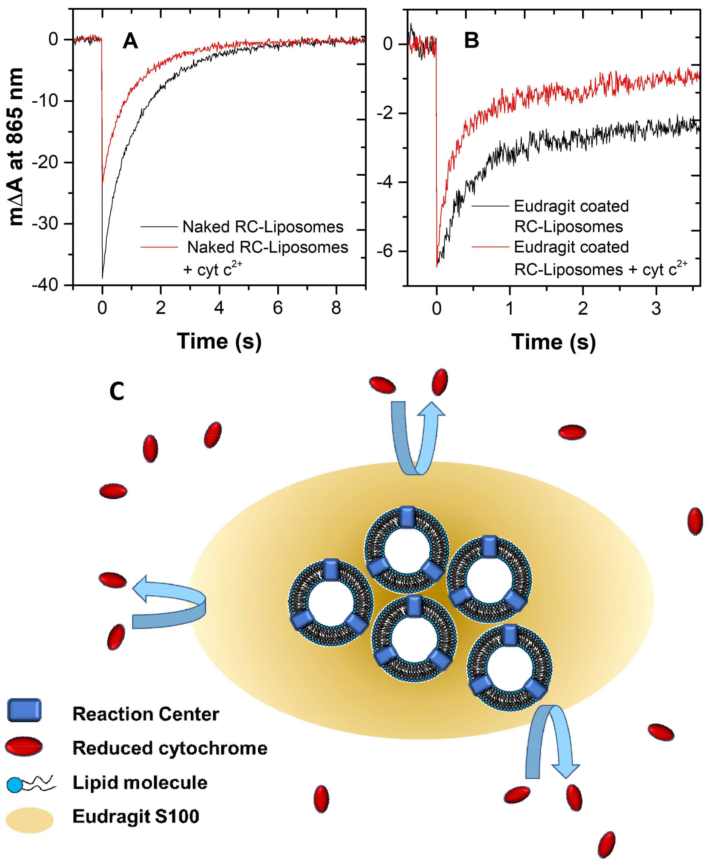 Molecules 23 00739 g006 Molecules 23 00739 g006
