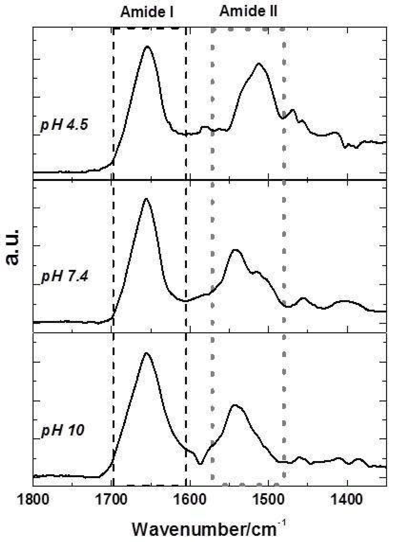 Molecules 23 00741 g004