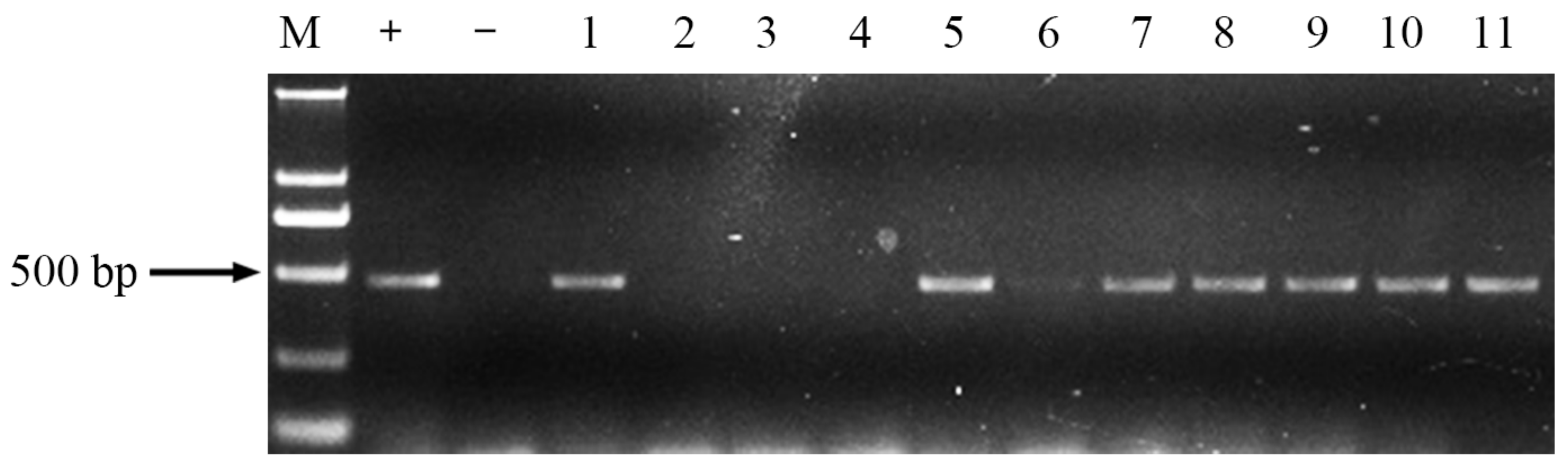 Molecules 23 00748 g006