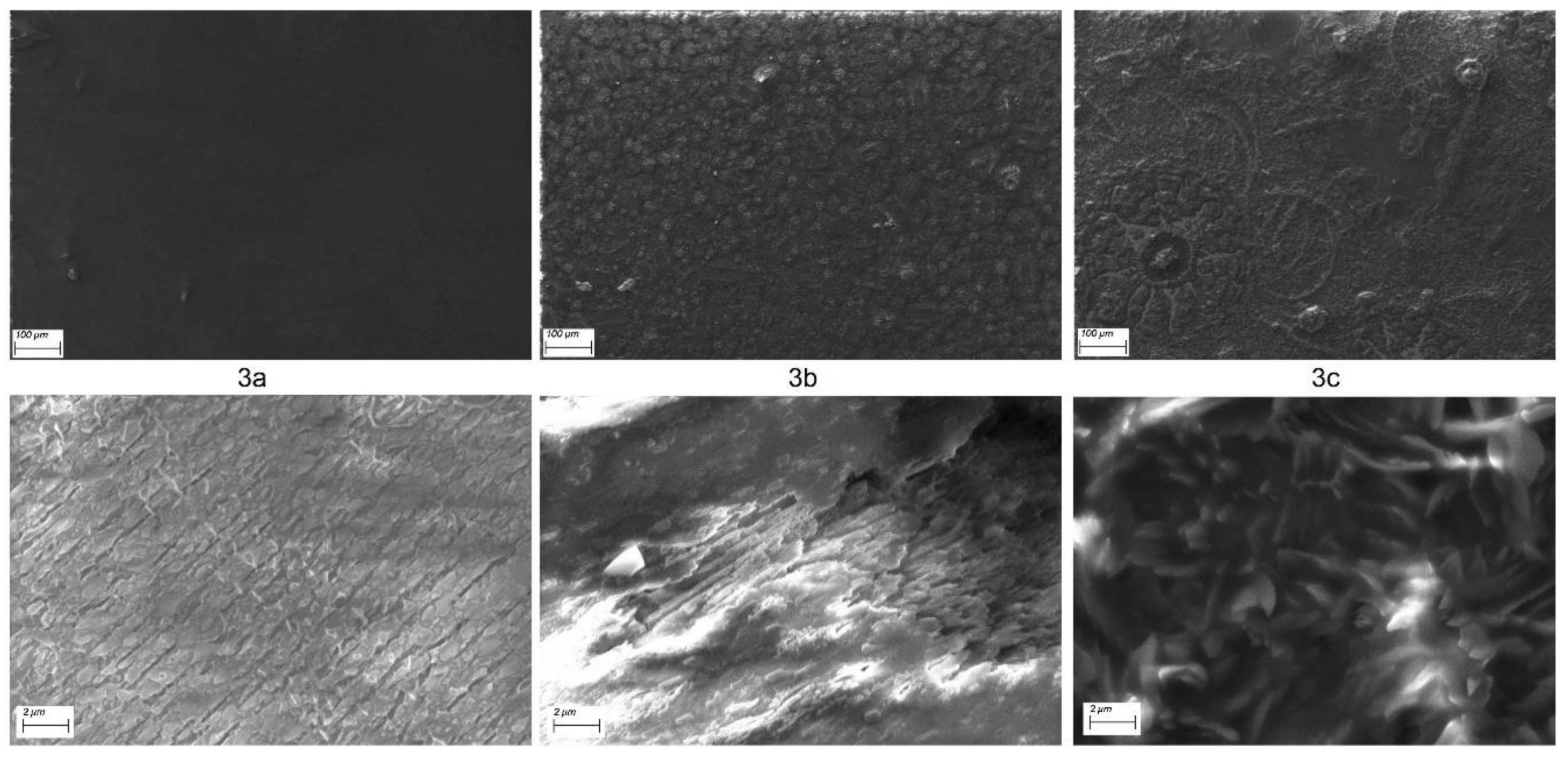 Molecules 23 00751 g003