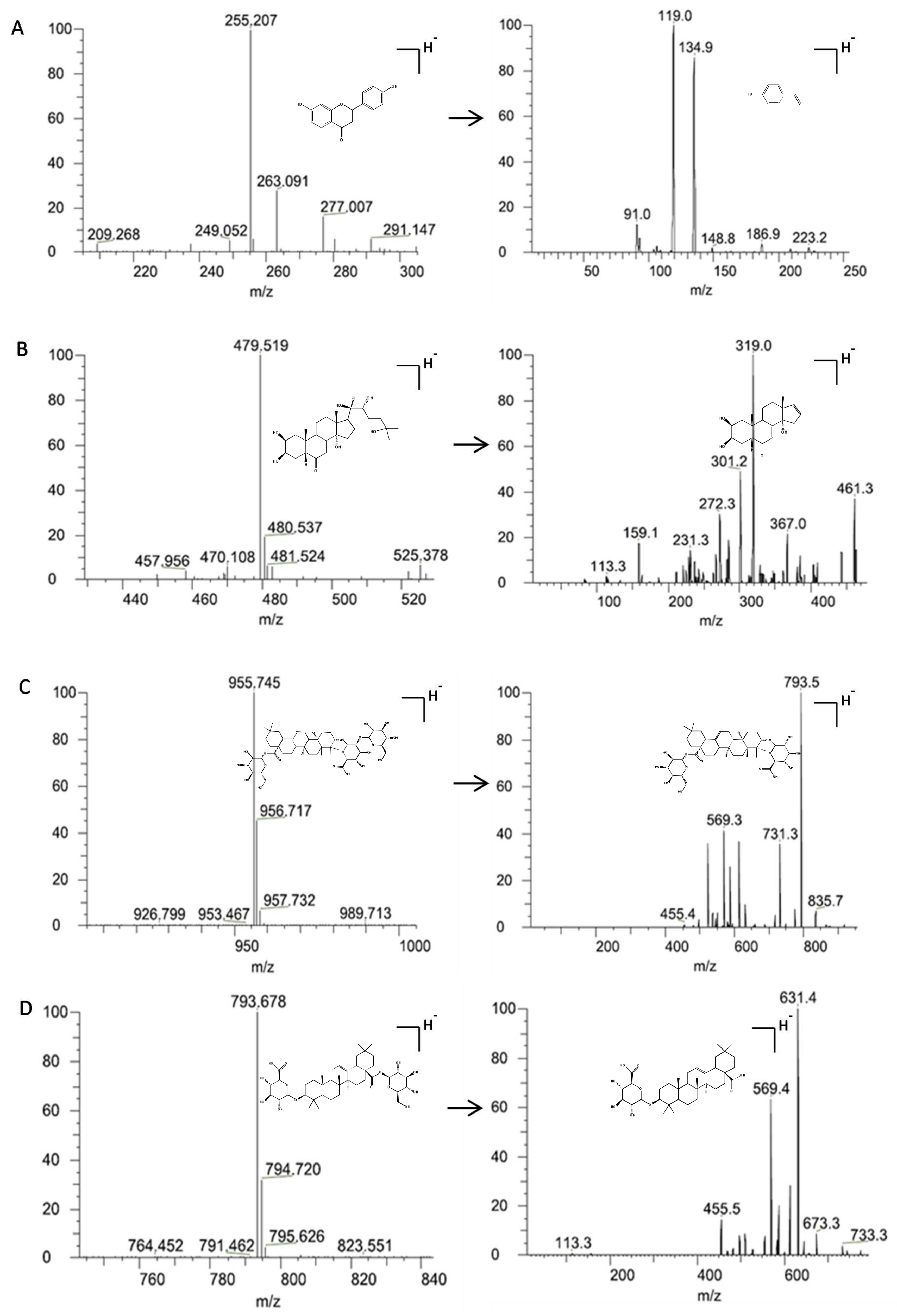 Molecules 23 00758 g001