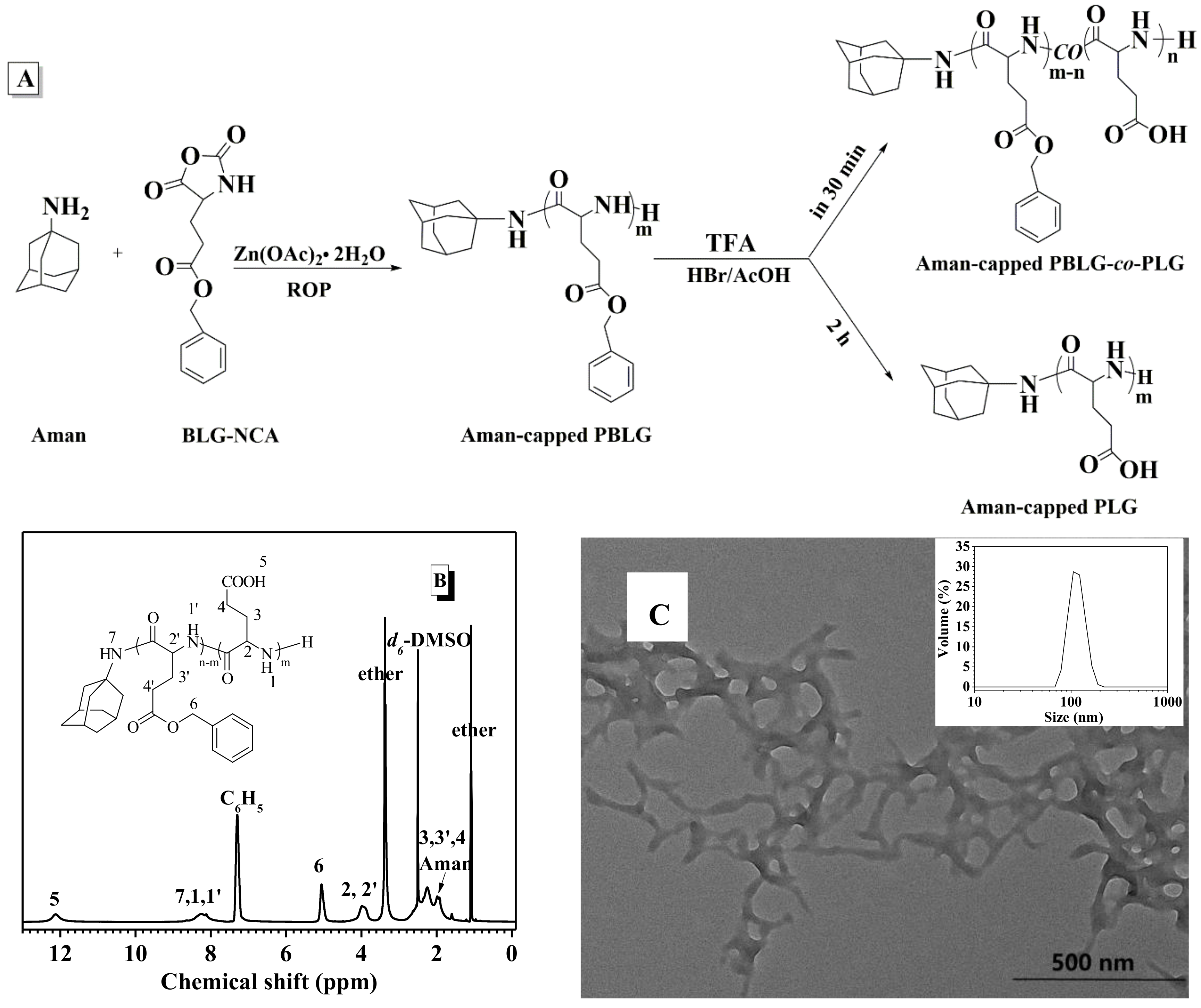 Molecules 23 00760 g004