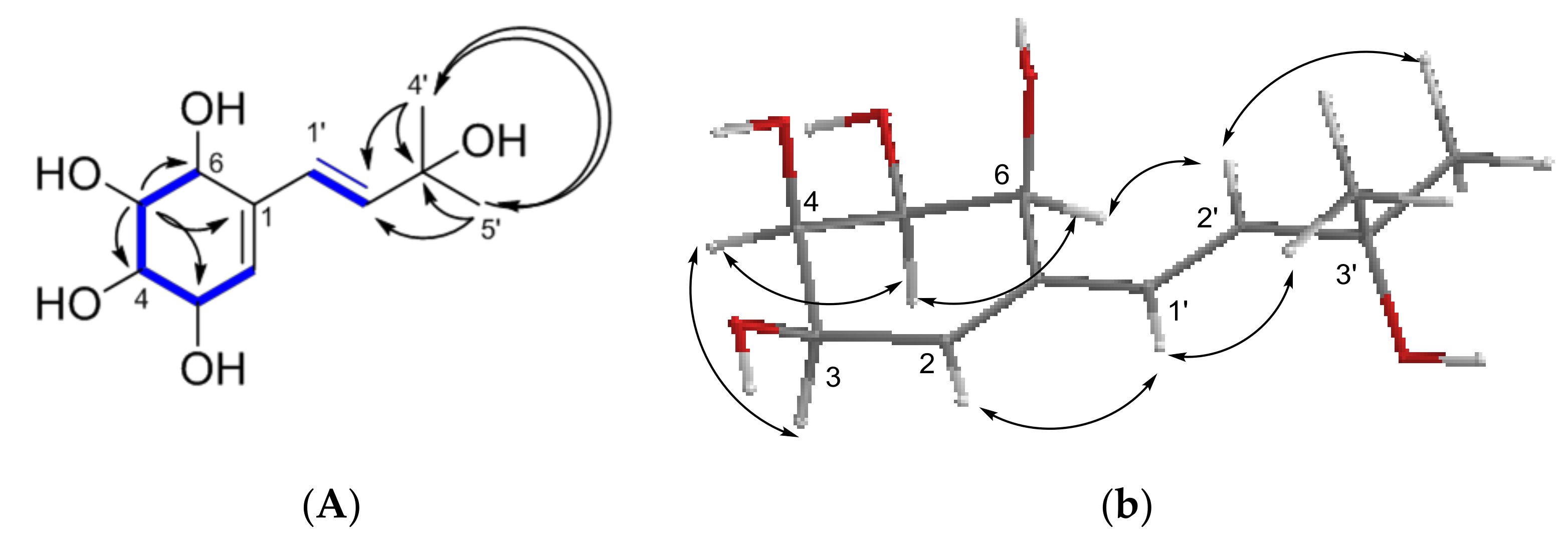 Molecules 23 00773 g003