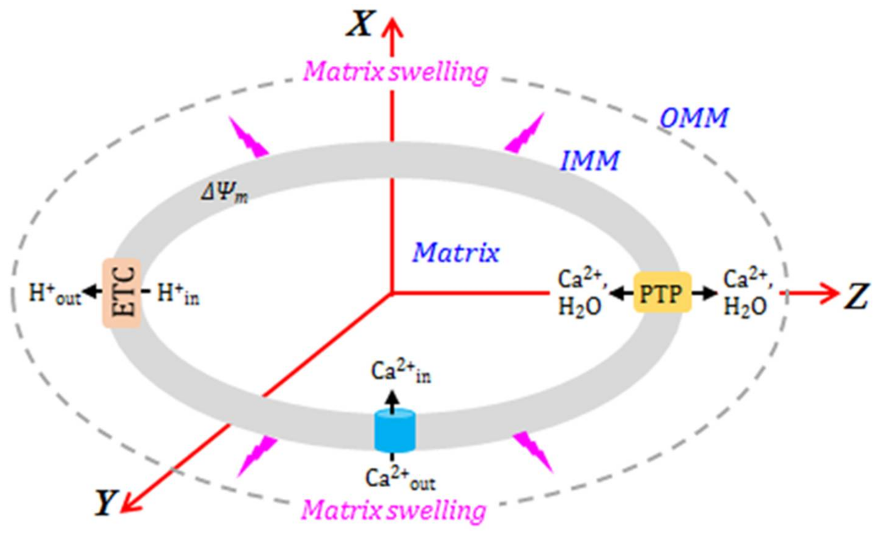 Molecules 23 00783 g002