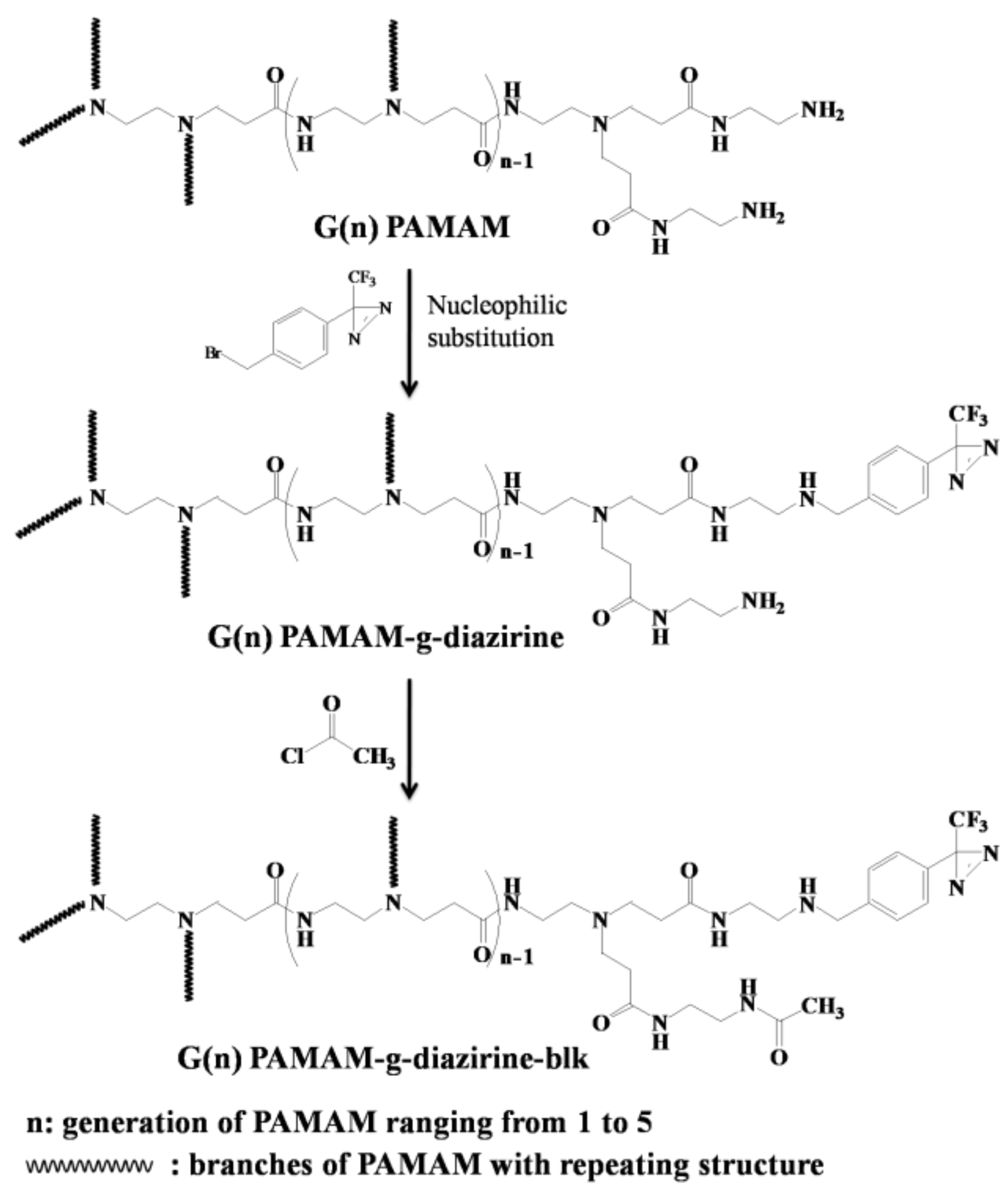 Molecules 23 00796 g002 Molecules 23 00796 g002