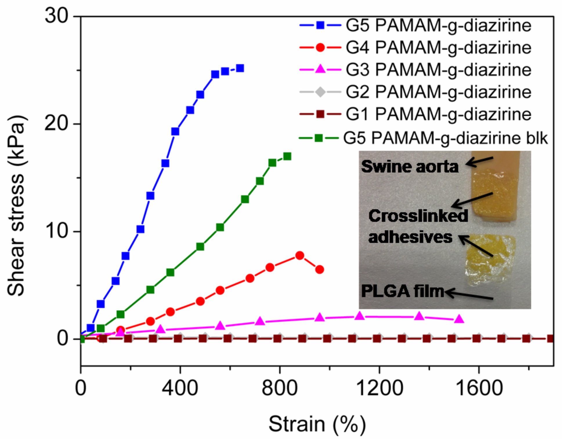 Molecules 23 00796 g006 Molecules 23 00796 g006
