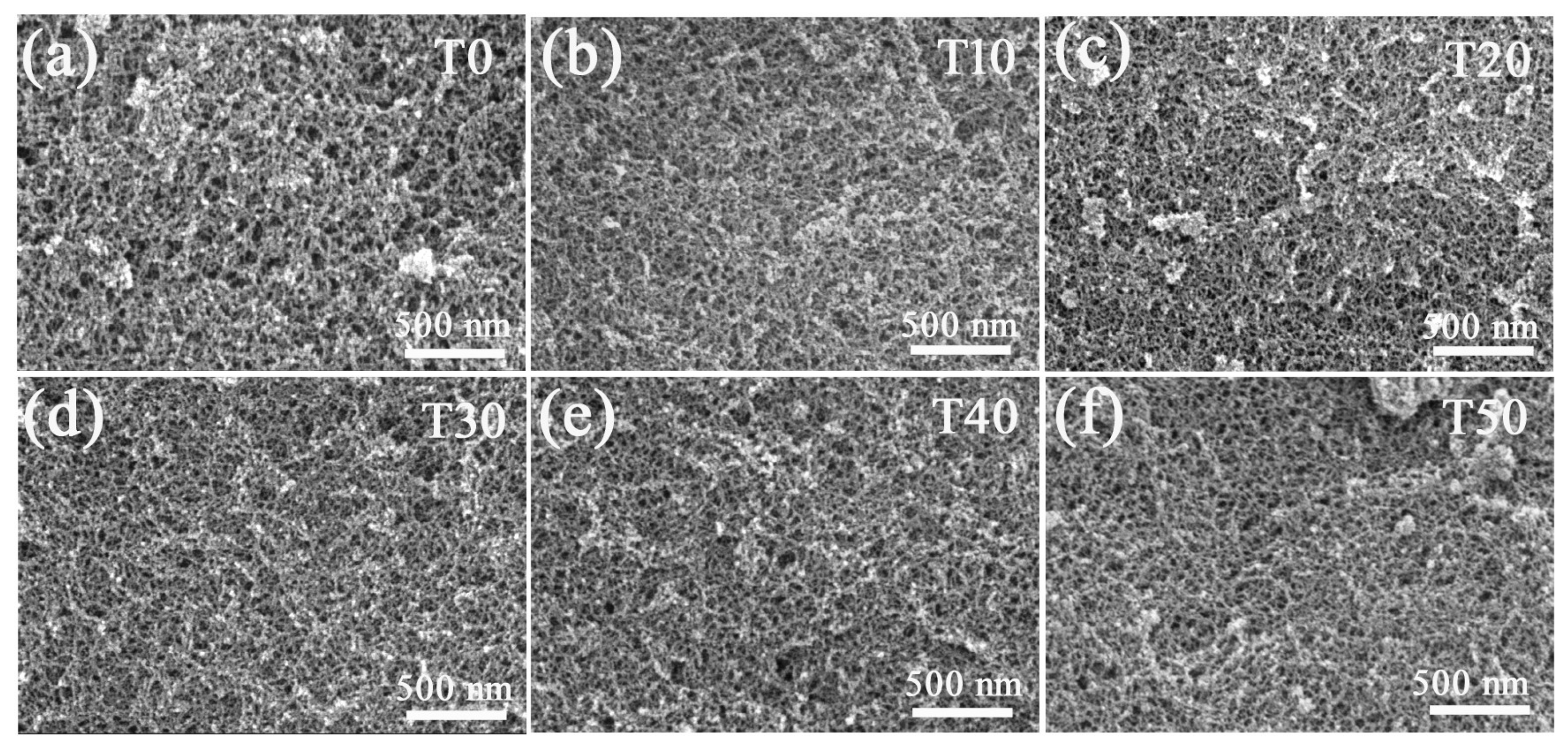 Molecules 23 00797 g002