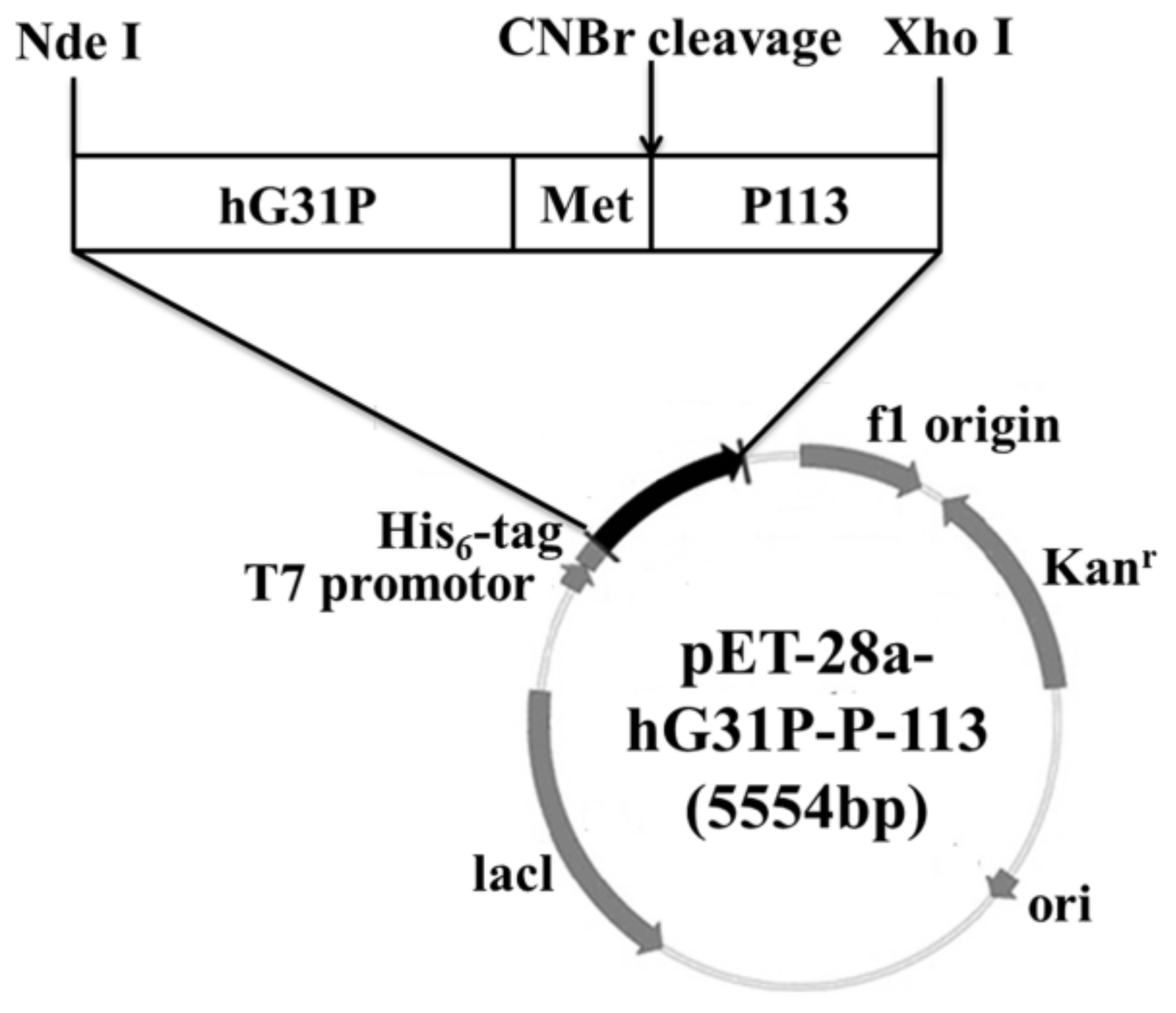 Molecules 23 00800 g001