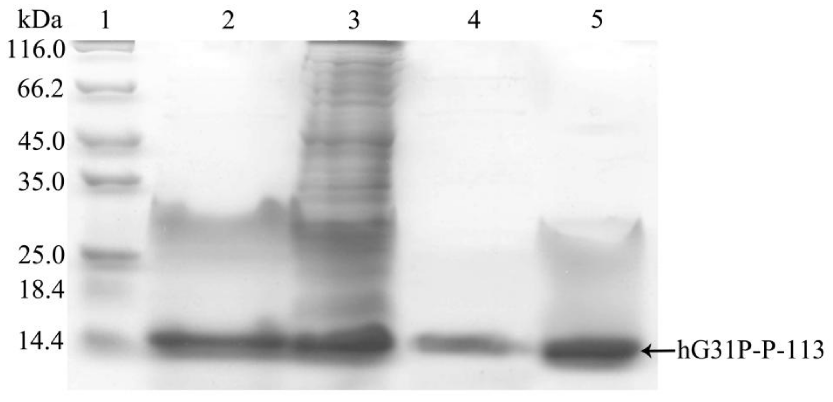 Molecules 23 00800 g003