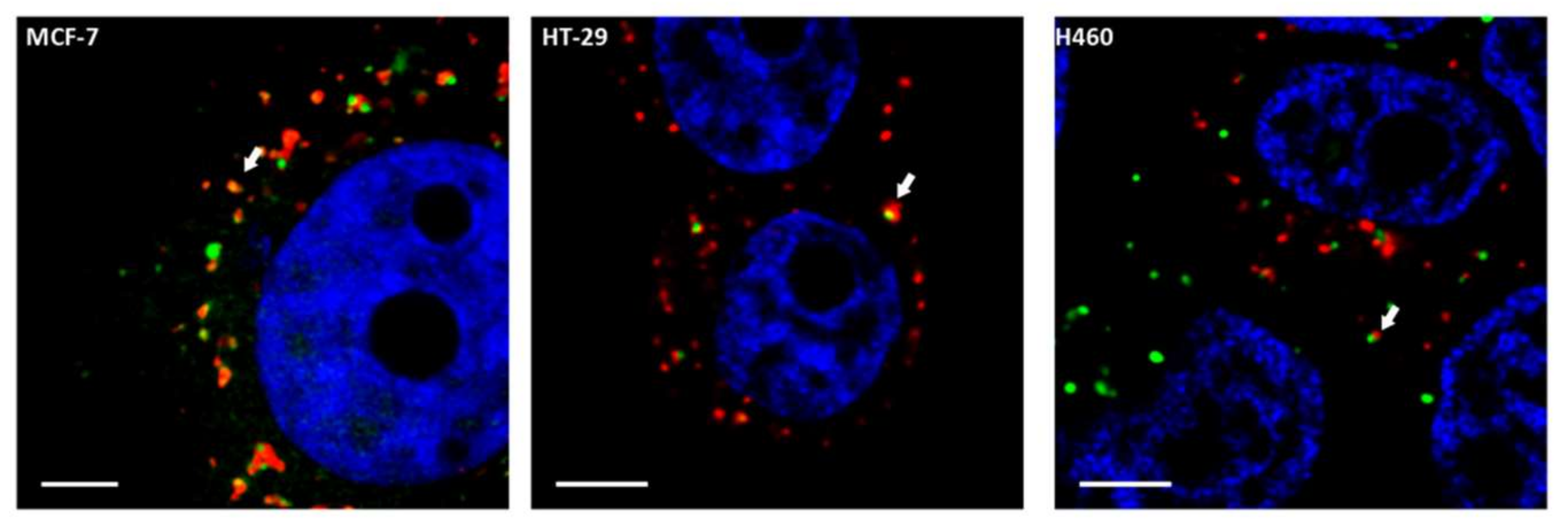 Molecules 23 00801 g002 Molecules 23 00801 g002
