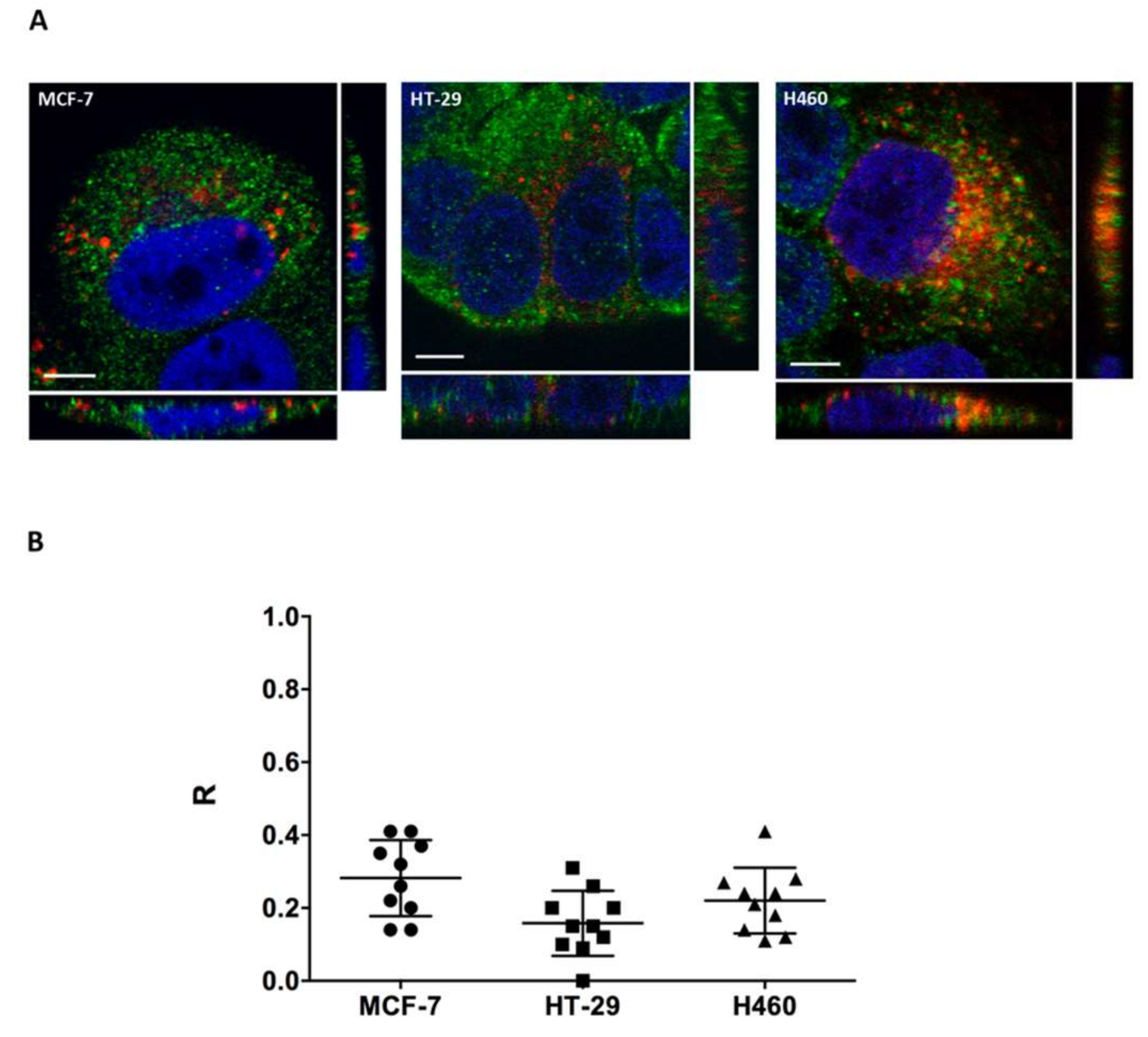 Molecules 23 00801 g006 Molecules 23 00801 g006