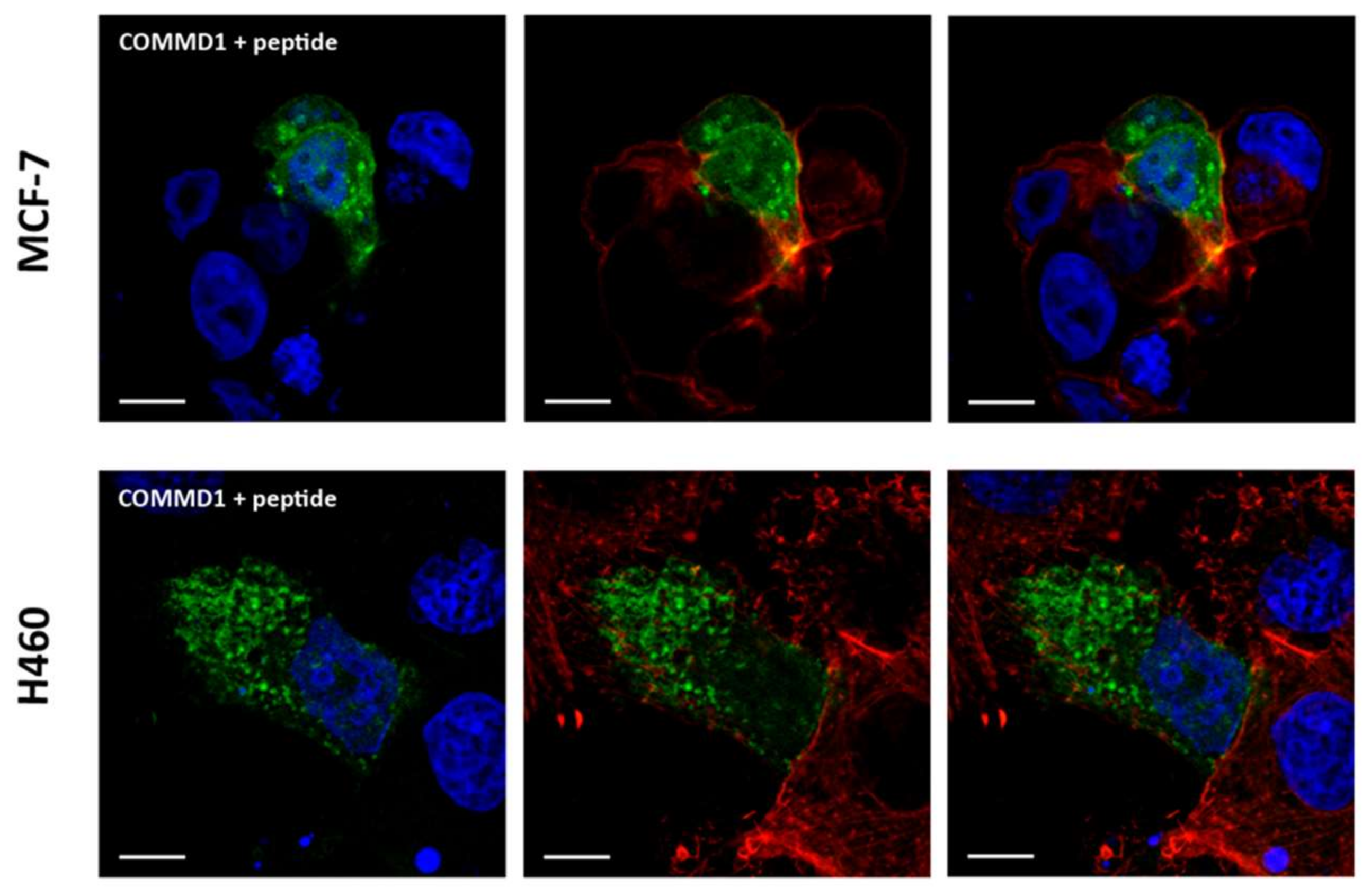 Molecules 23 00801 g008 Molecules 23 00801 g008
