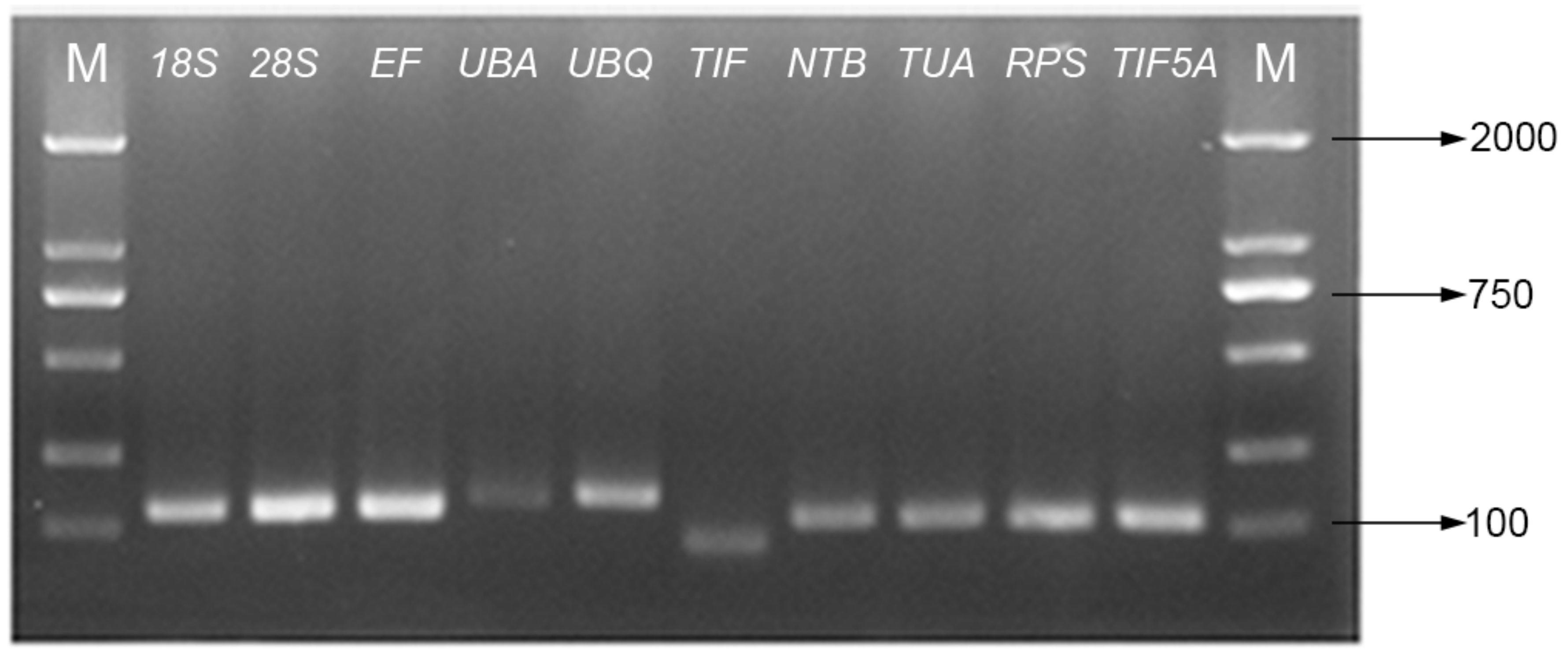 Molecules 23 00802 g001