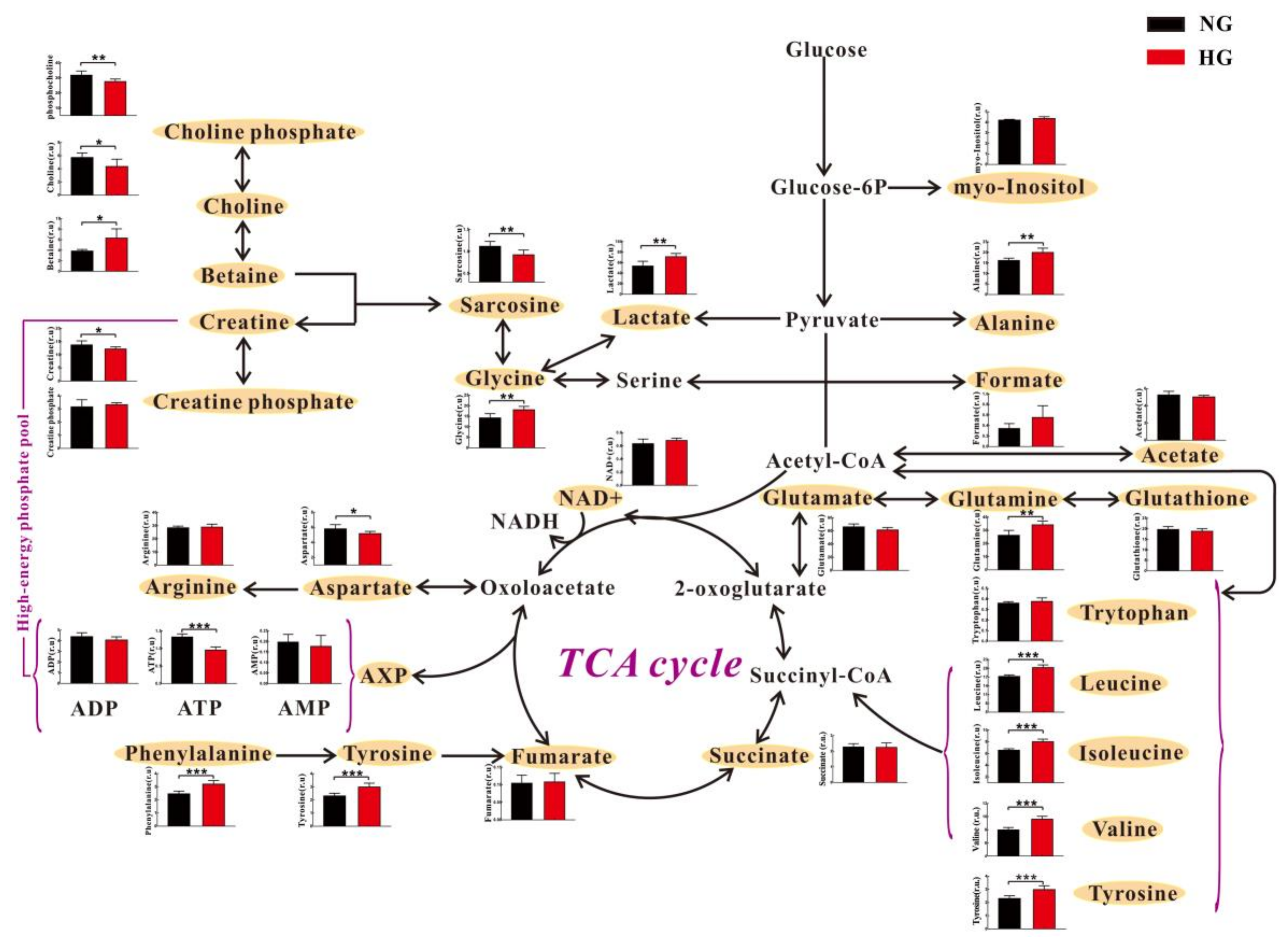 Molecules 23 00807 g004