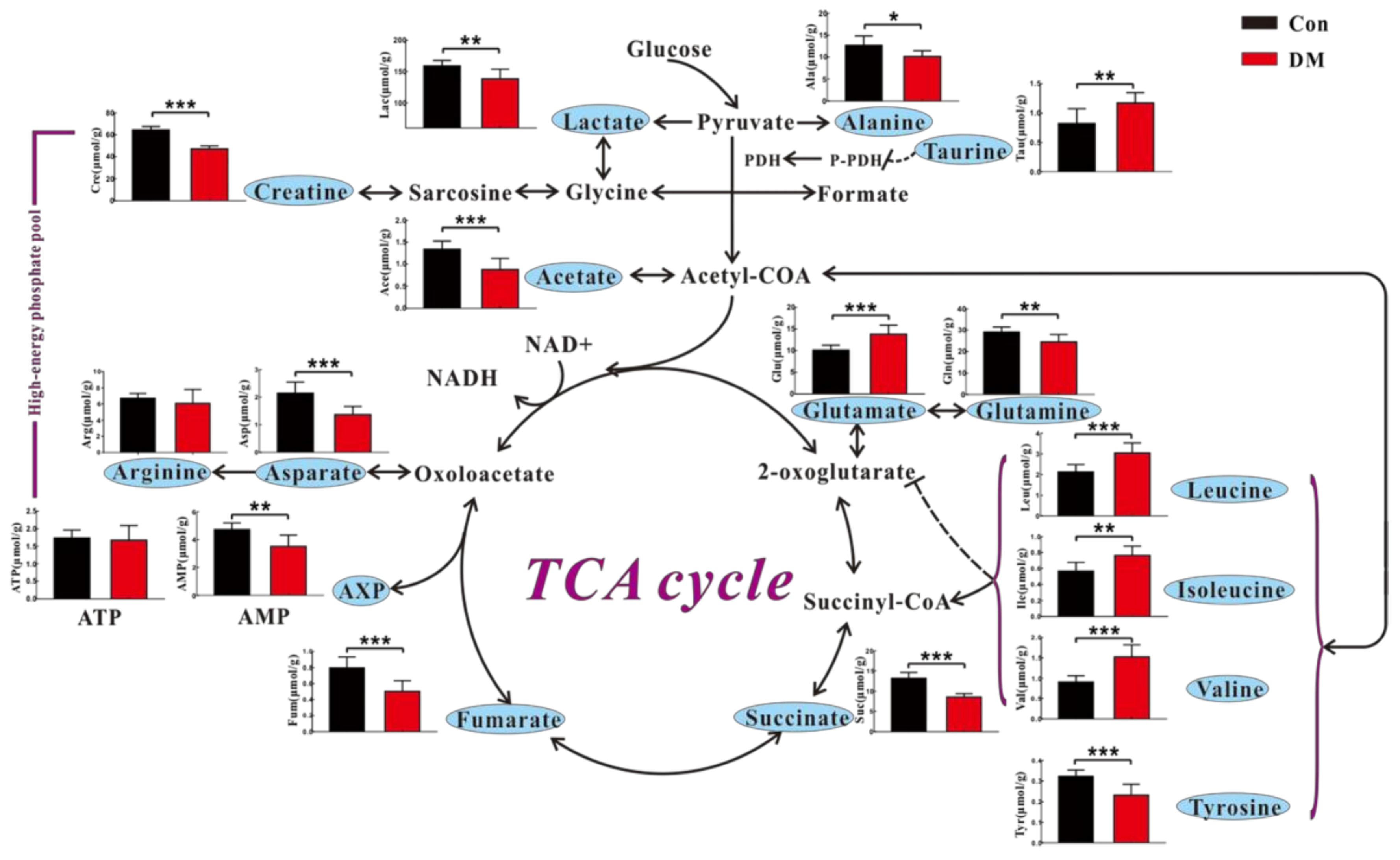 Molecules 23 00807 g006