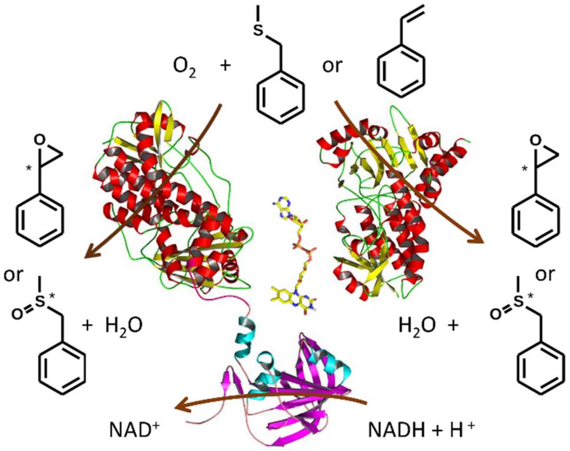 Molecules 23 00809 sch001