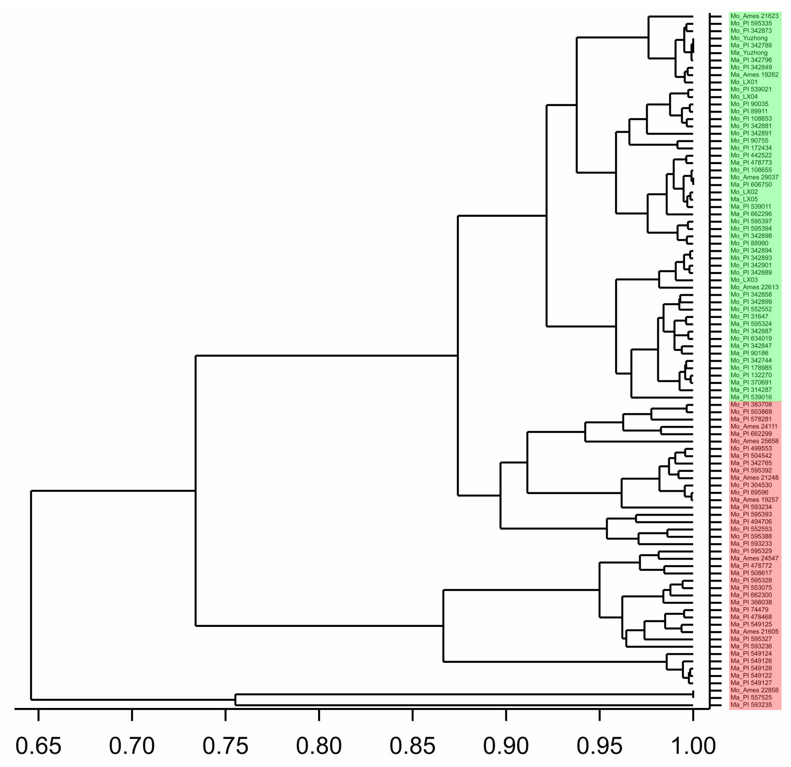 Molecules 23 00810 g001