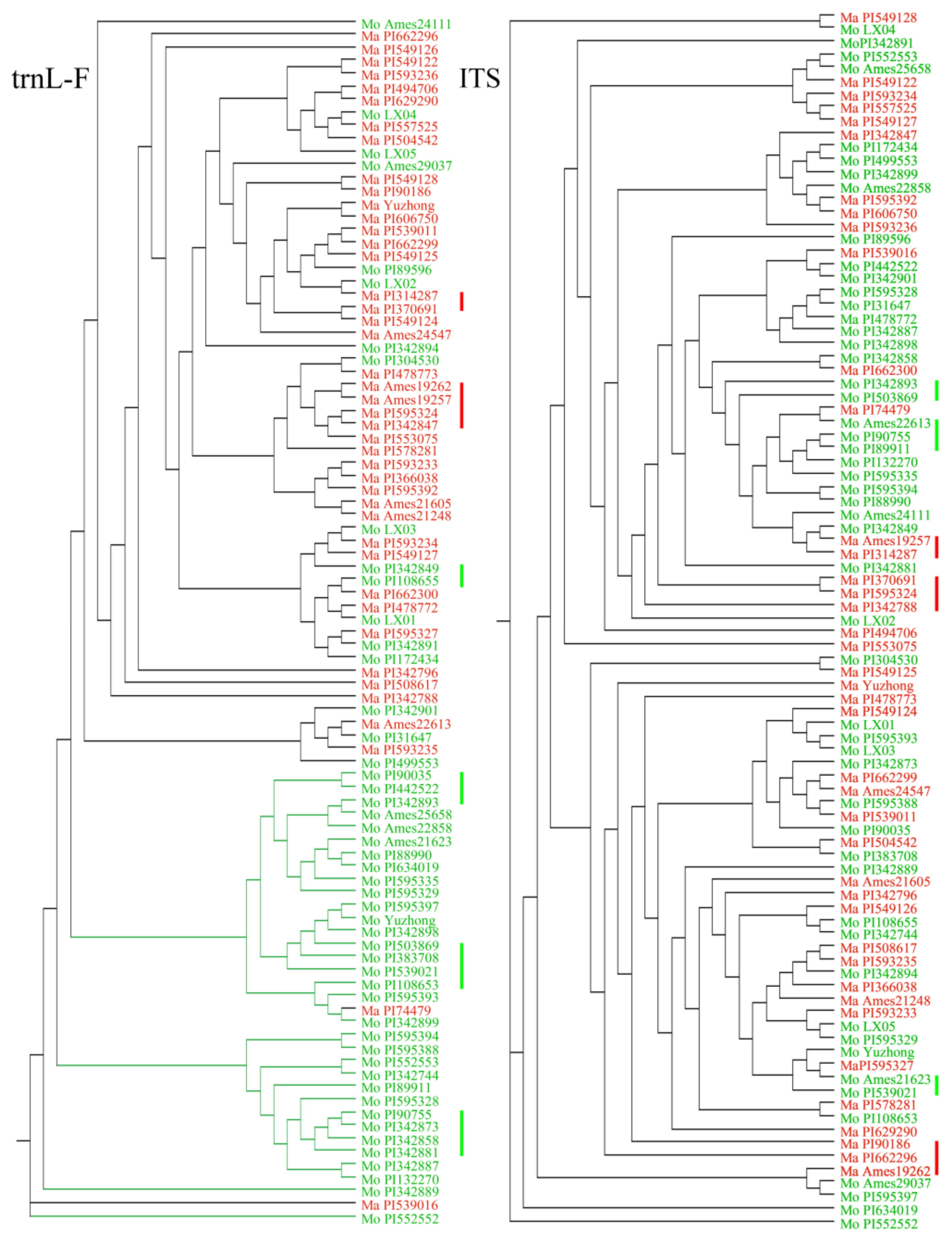 Molecules 23 00810 g003
