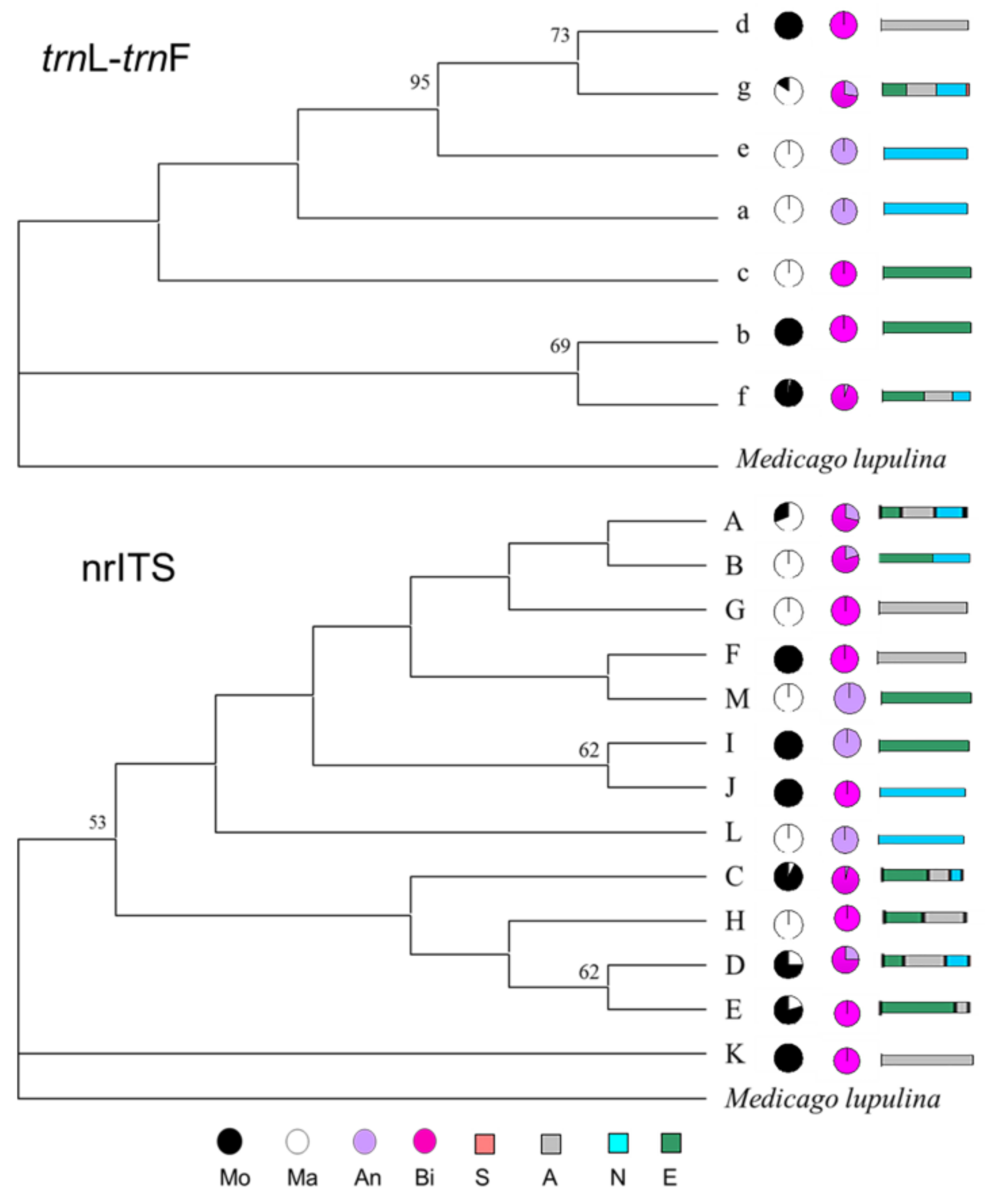Molecules 23 00810 g004