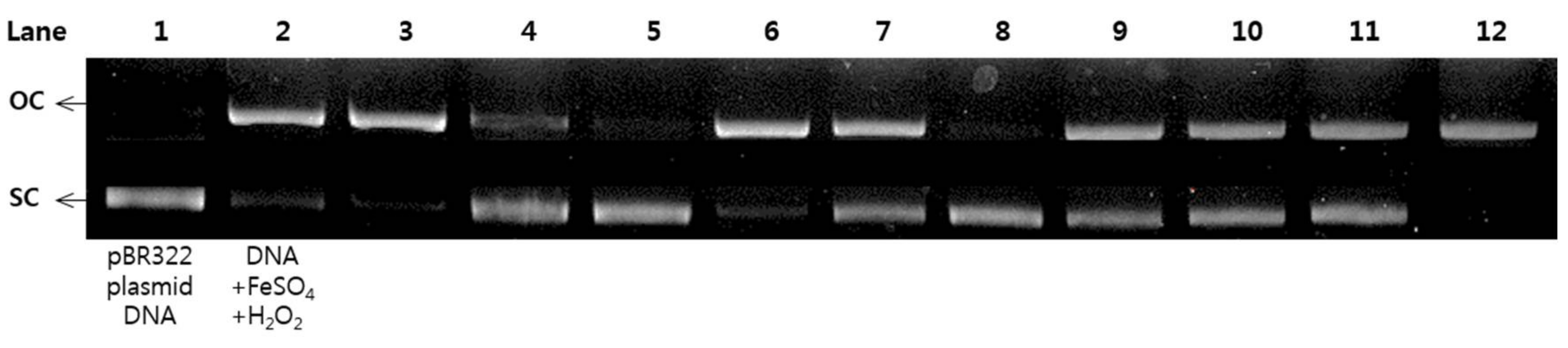 Molecules 23 00816 g005