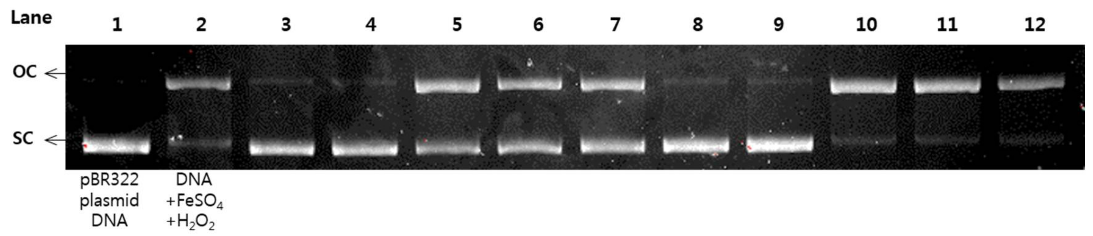 Molecules 23 00816 g006