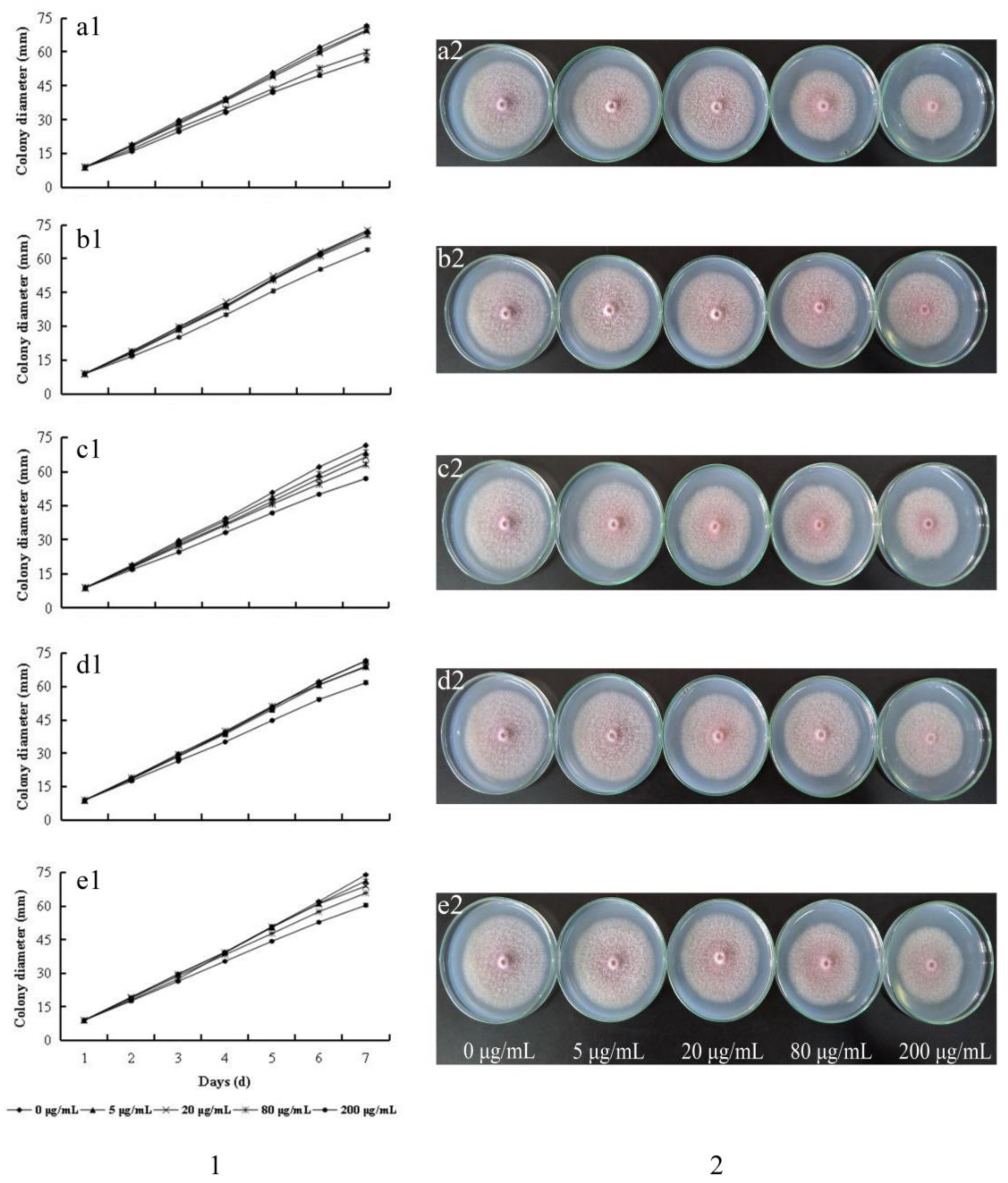 Molecules 23 00819 g003