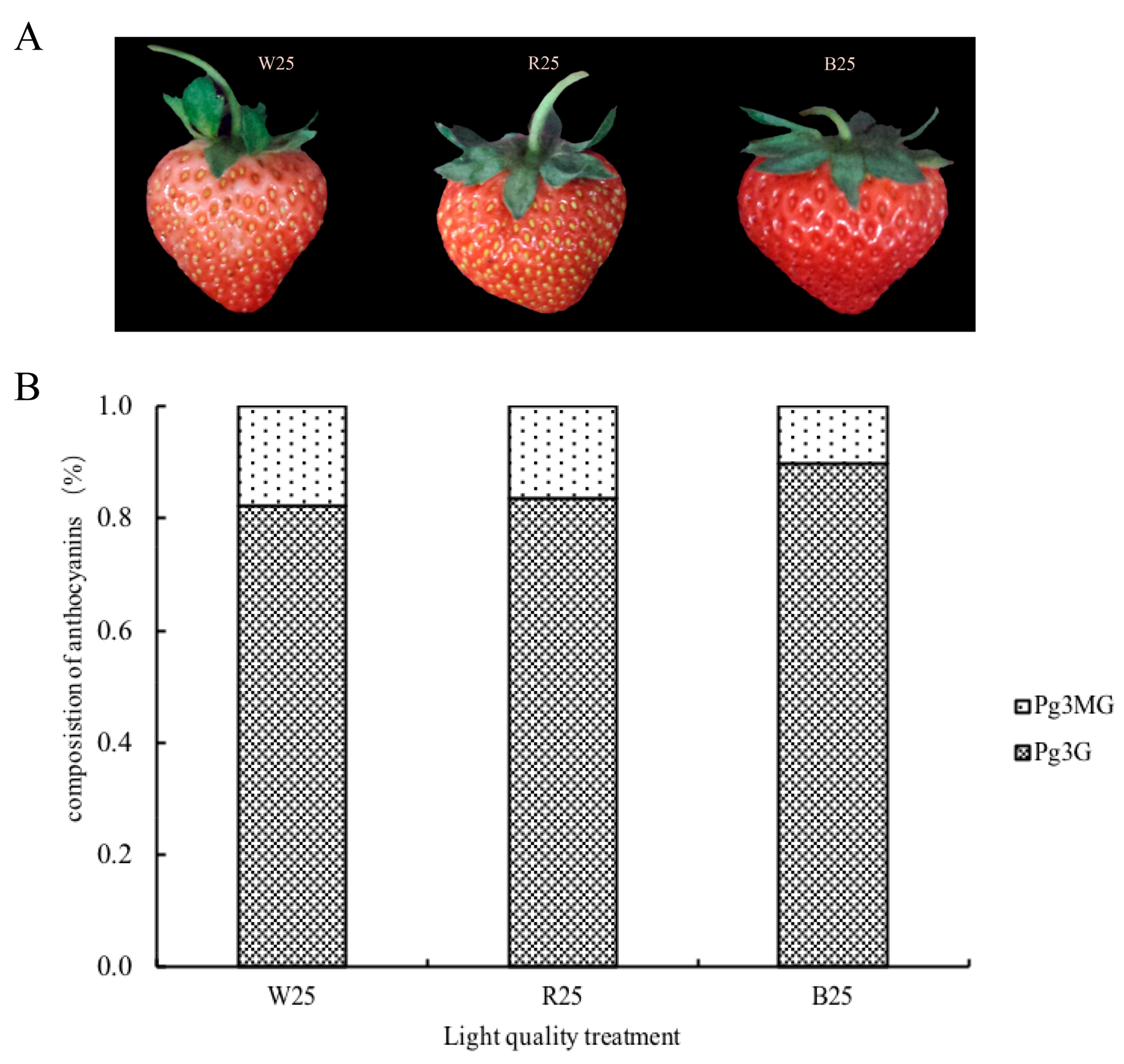 Molecules 23 00820 g001