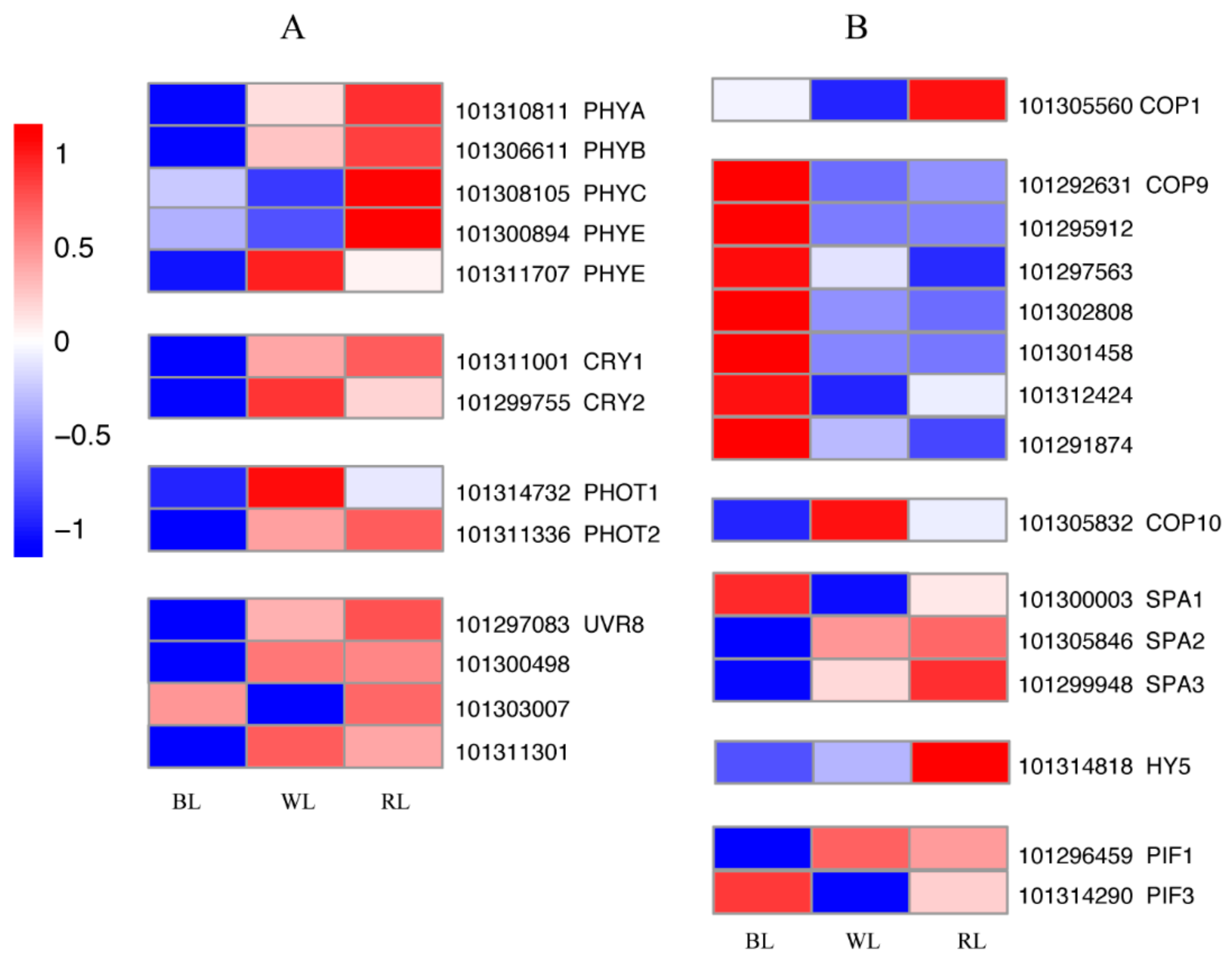 Molecules 23 00820 g004