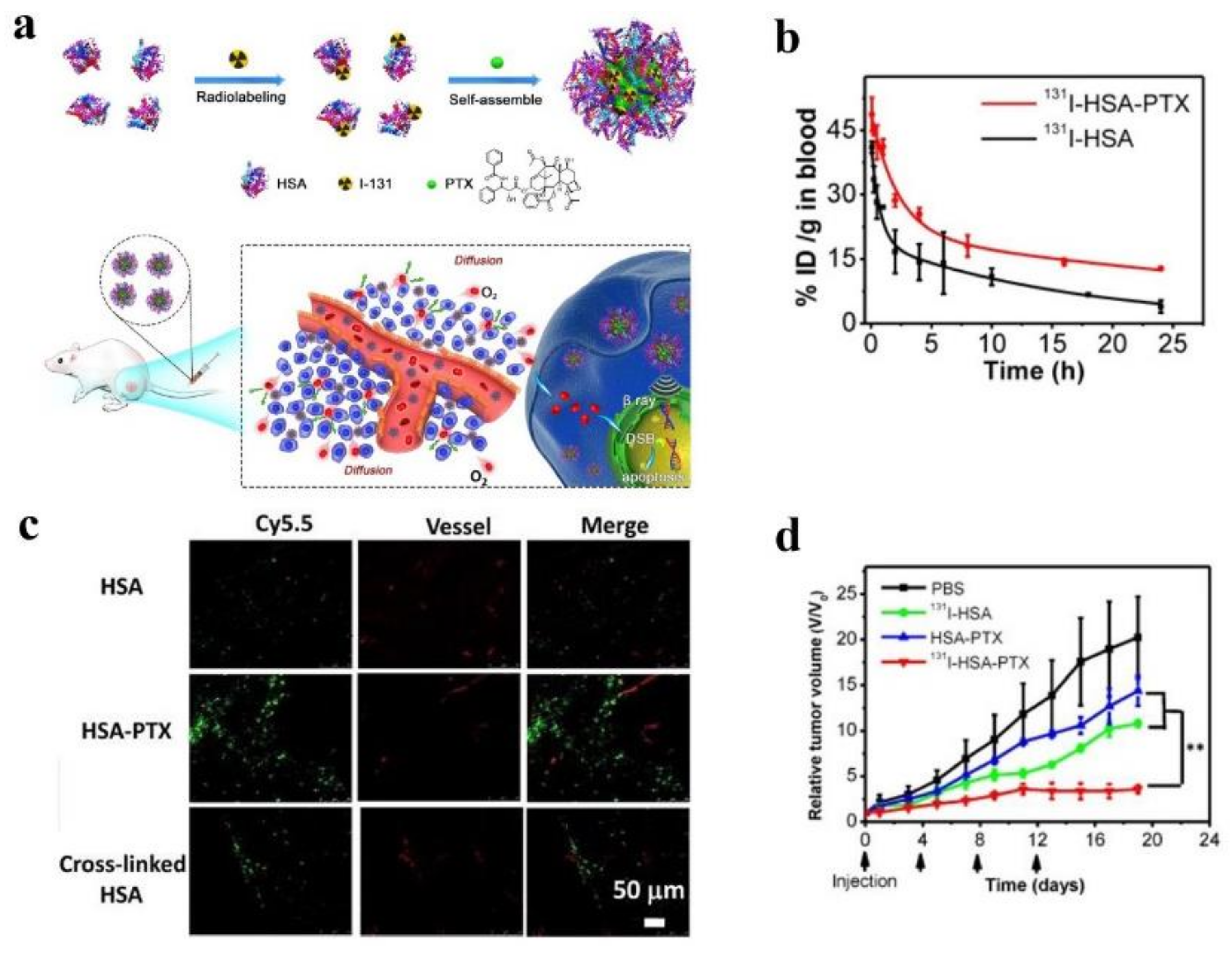 Molecules 23 00826 g003 Molecules 23 00826 g003
