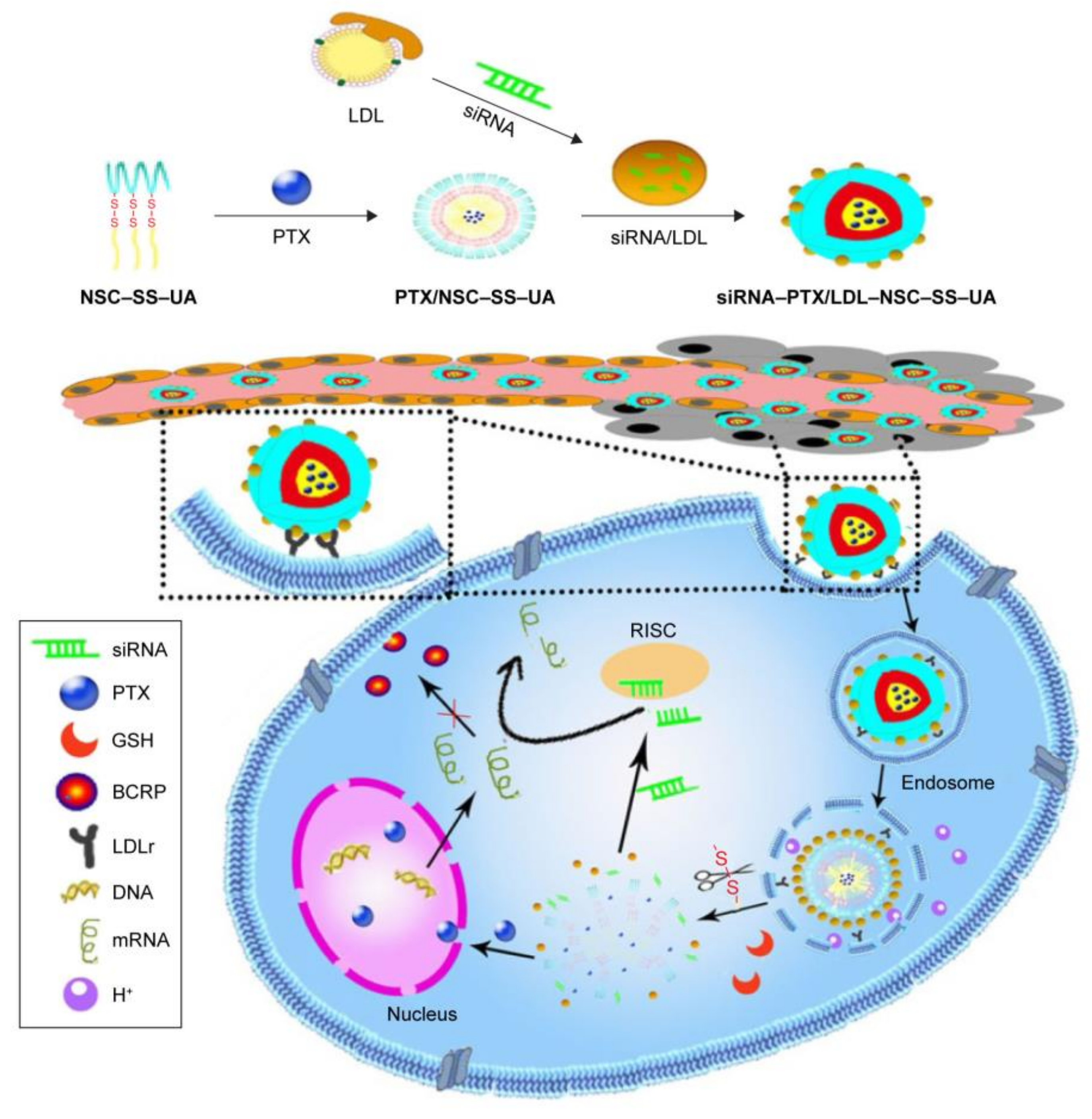 Molecules 23 00826 g004 Molecules 23 00826 g004