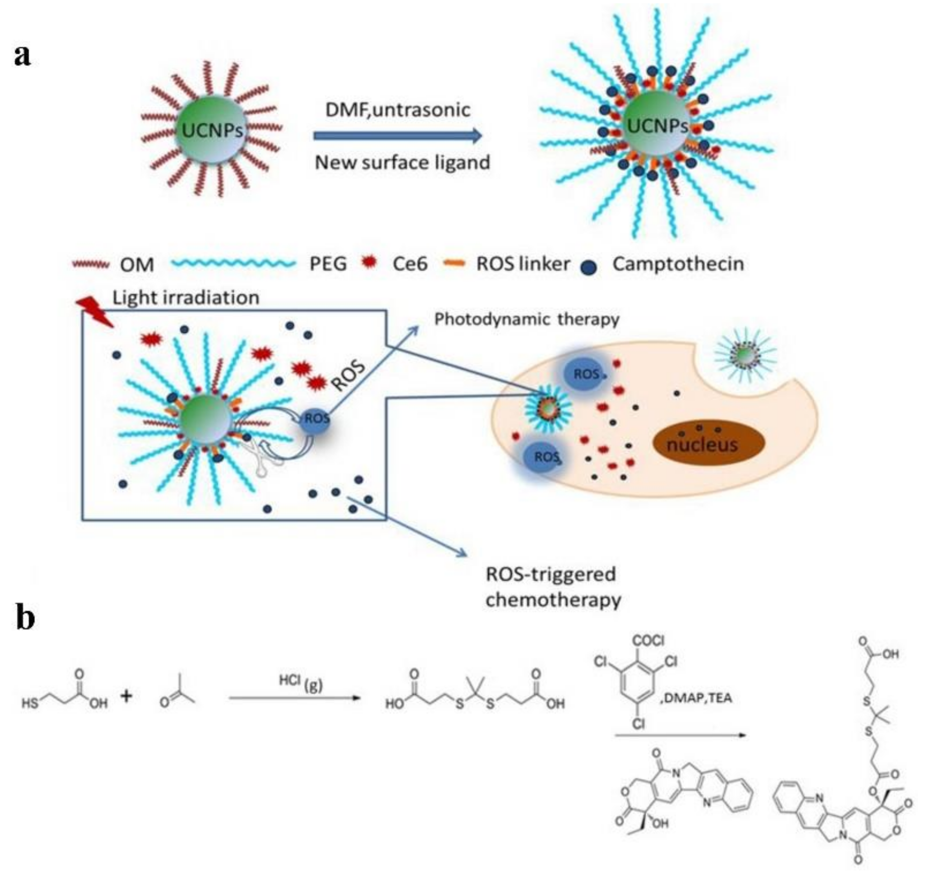 Molecules 23 00826 g005 Molecules 23 00826 g005