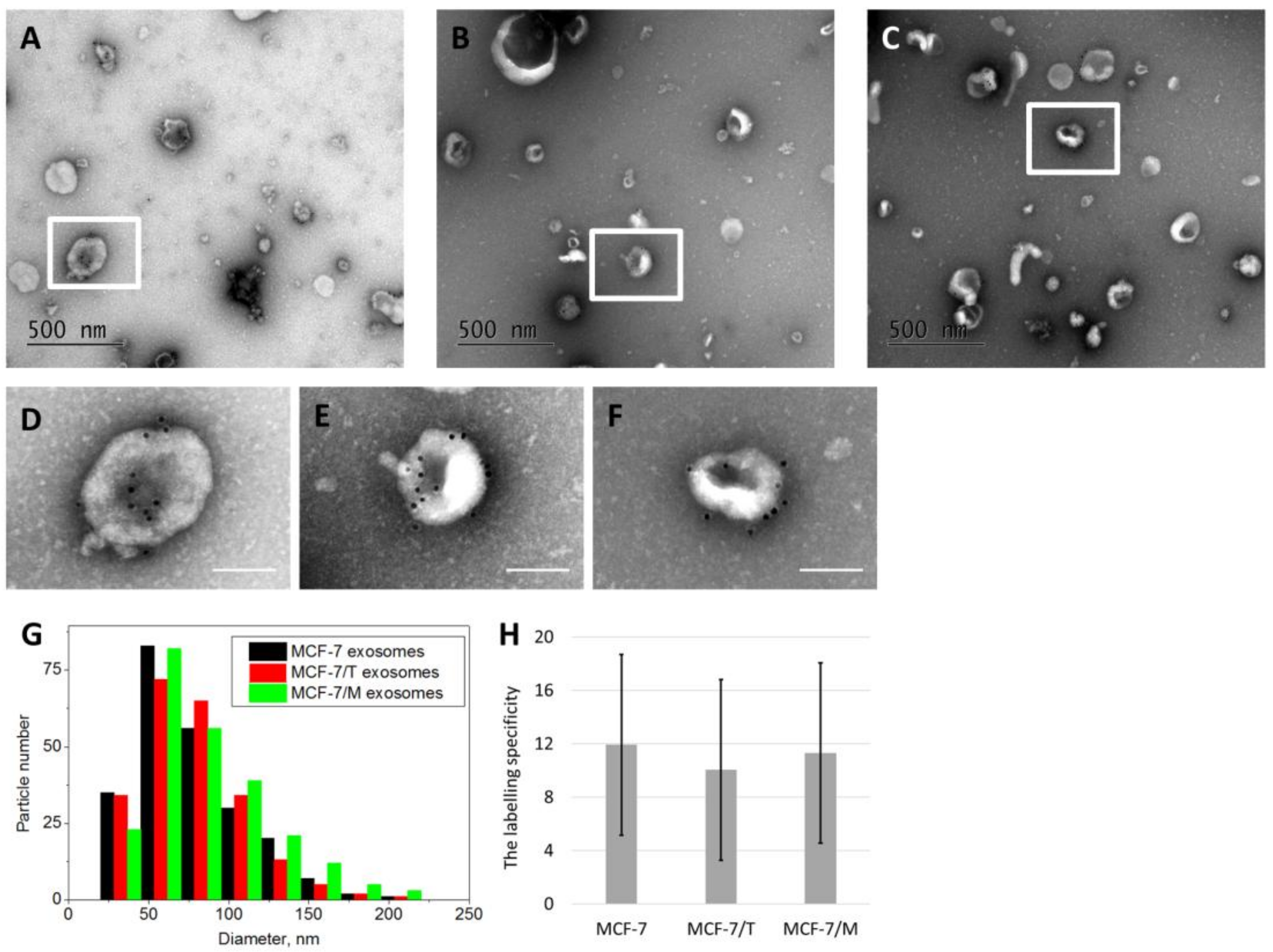 Molecules 23 00829 g002 Molecules 23 00829 g002